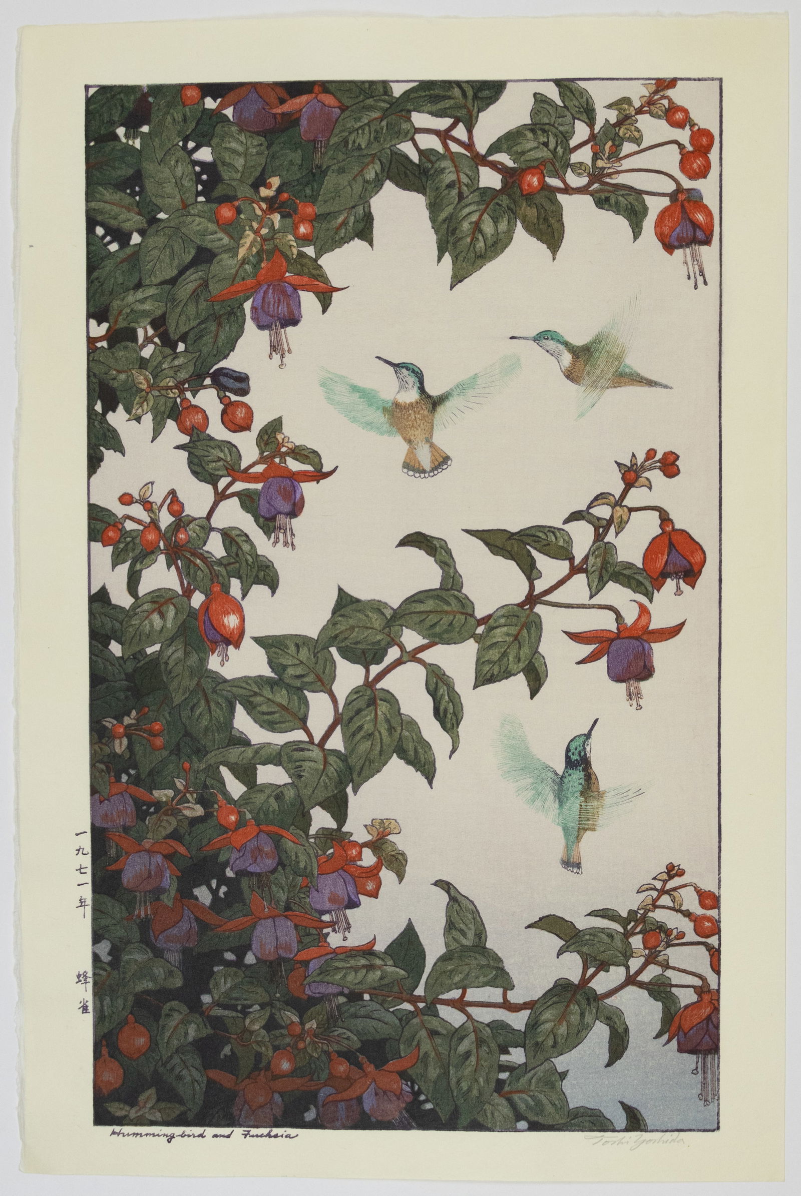 Toshi Yoshida, Hummingbird and Fuchsia, Signed: Artist: Toshi Yoshida (1911-1995)Title: Hummingbird and FuchsiaPublisher: Yoshida StudioDate: 1971Size: 55.5 x 37.1 cmCondition: Pencil signature. Good for age.Ref: JG072519