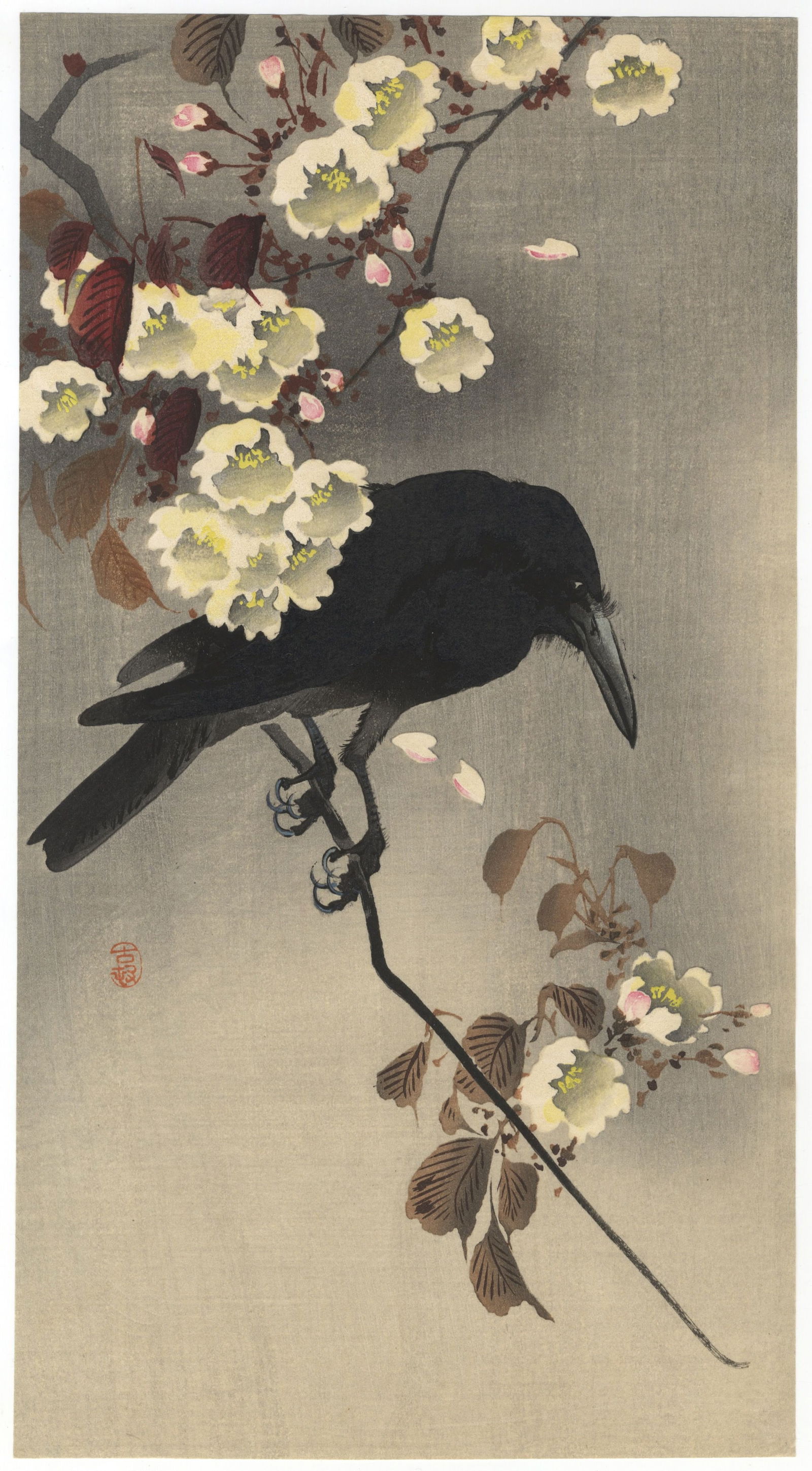 Koson Ohara, Crow on Cherry Branch, Kacho-ga (1 of 2)