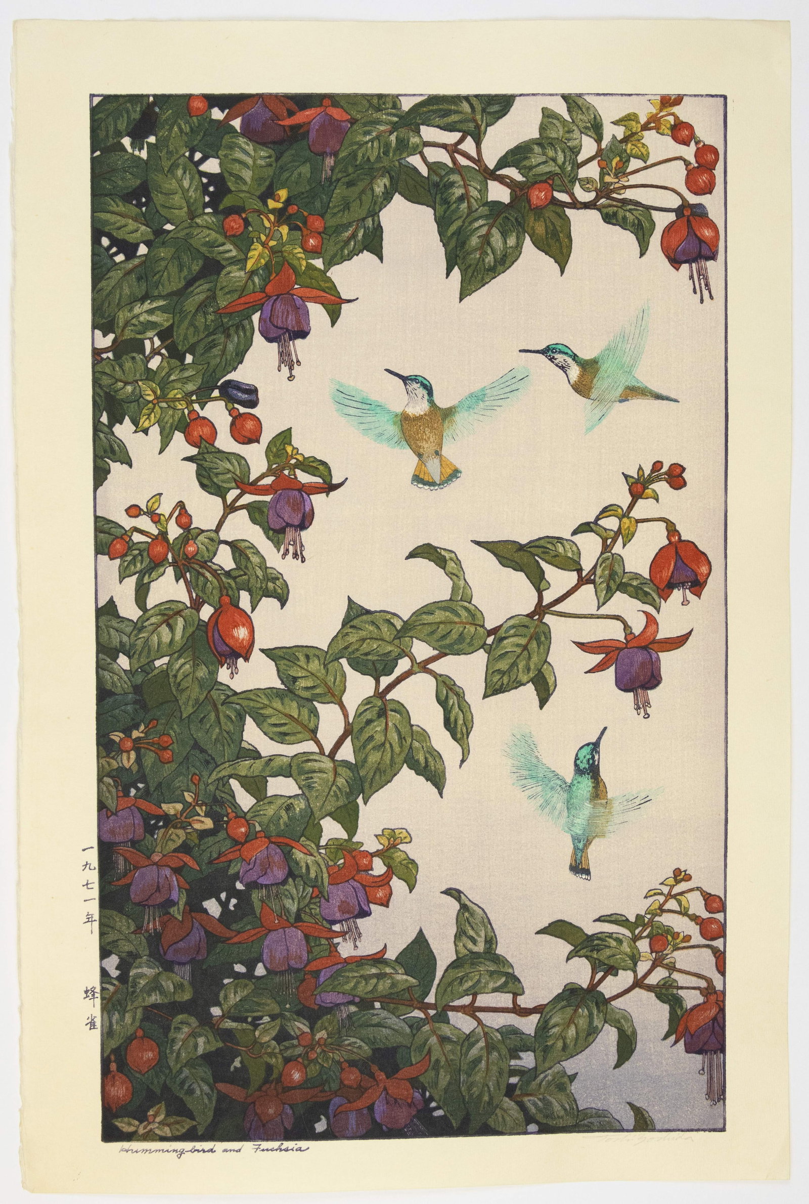 Toshi Yoshida, Hummingbird and Fuchsia, Pencil Signature: Artist: Toshi Yoshida (1911-1995) Title: Hummingbird and Fuchsia Publisher: Yoshida Studio Date: 1971 Size: 55.9 x 37.2 cm Condition: Good for age. Pencil signature. Ref: JG1025NL07