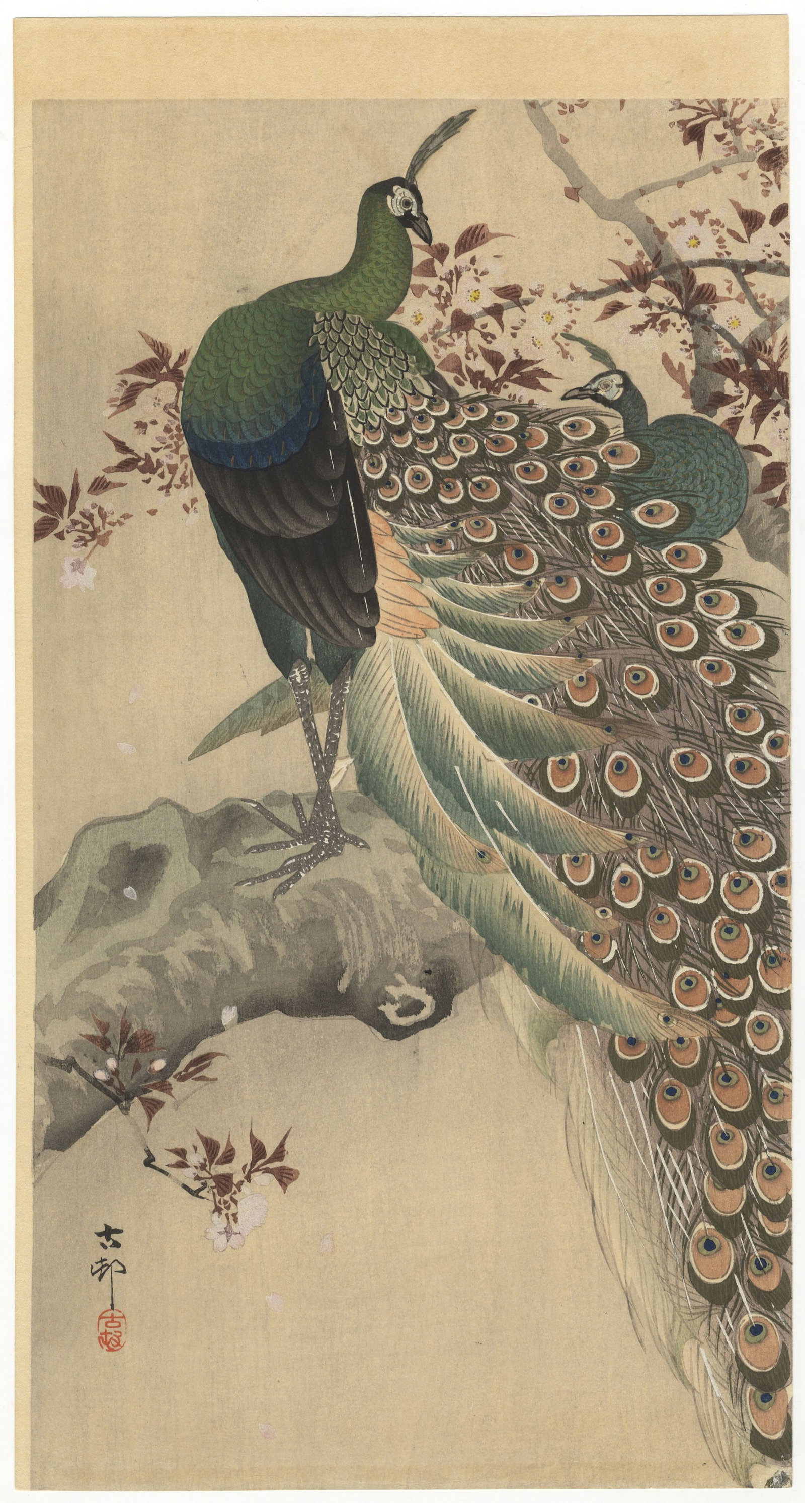 Koson Ohara, Two Green Peacocks and Flowering Tree *: Artist: Koson Ohara (1877-1945) Title: Two Green Peacocks on the Bough of a Flowering Tree Publisher: Daikokuya Date: c.1910 Size: 36.7 x 19.5 cm Condition: Good impression in lines and colours, minor
