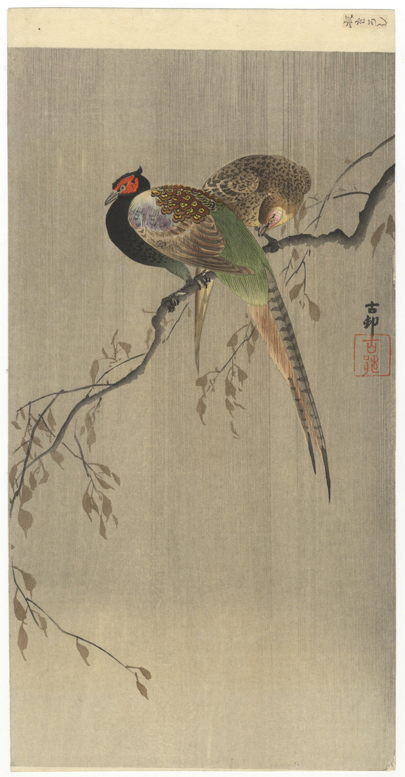 Koson Ohara, A Couple of Pheasants, First Edition Print*: Artist: Koson Ohara (1877-1945) Title: A couple of pheasants on a branch Publisher: Daikokuya Date: c.1910 Size: 37.0 x 18.8 cm Condition: First Edition. Good impression in lines and colour. * Please 