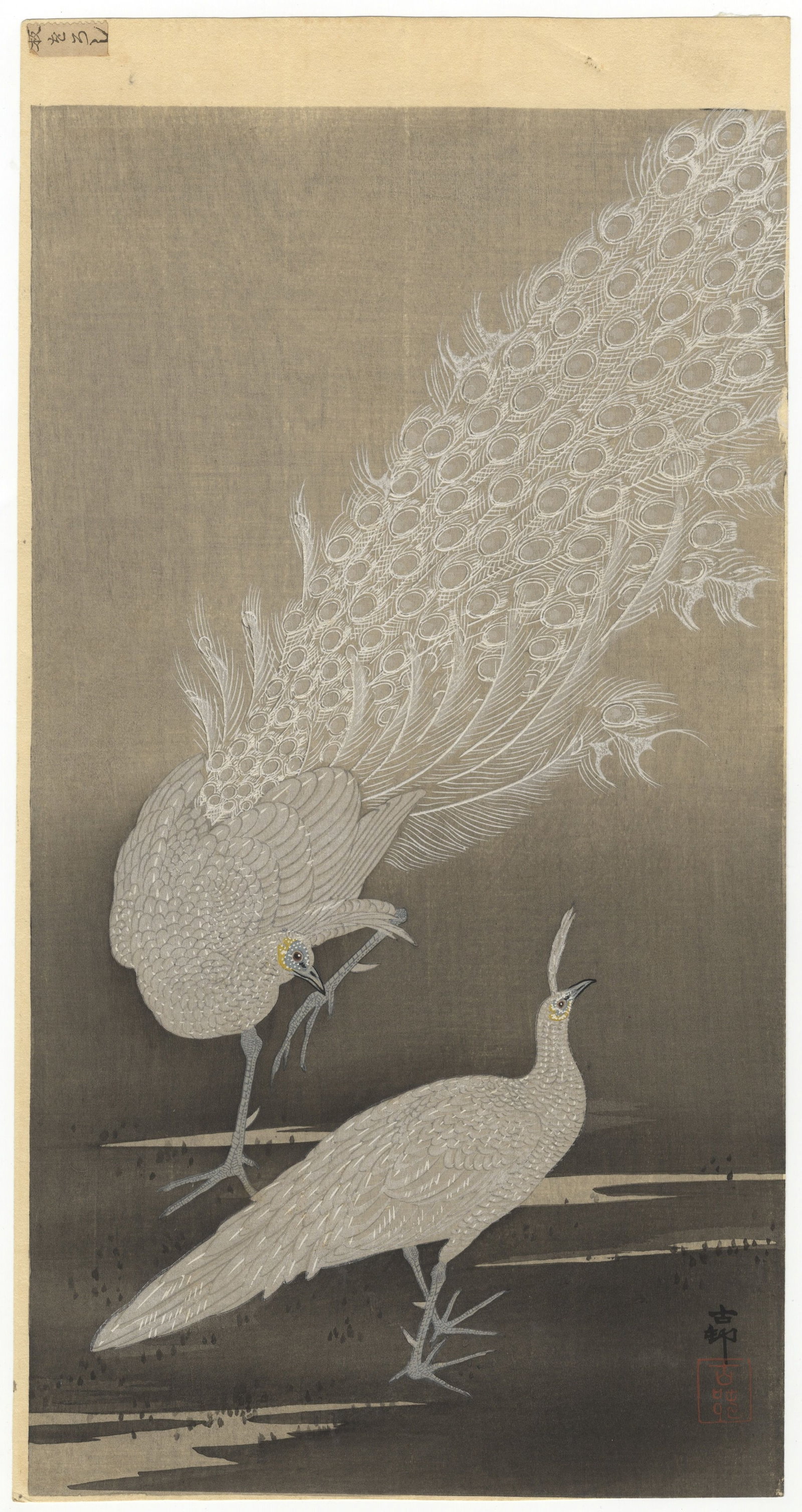 Koson Ohara, White Peacocks, First Edition, Japanese Art *: Artist: Koson Ohara (1877-1945) Title: White Peacocks Publisher: Watanabe Shozaburo Date: early 20th century Size: 36.8 x 19.3 cm Condition: First Edition. Good impression in lines, minor foxing. * Pl