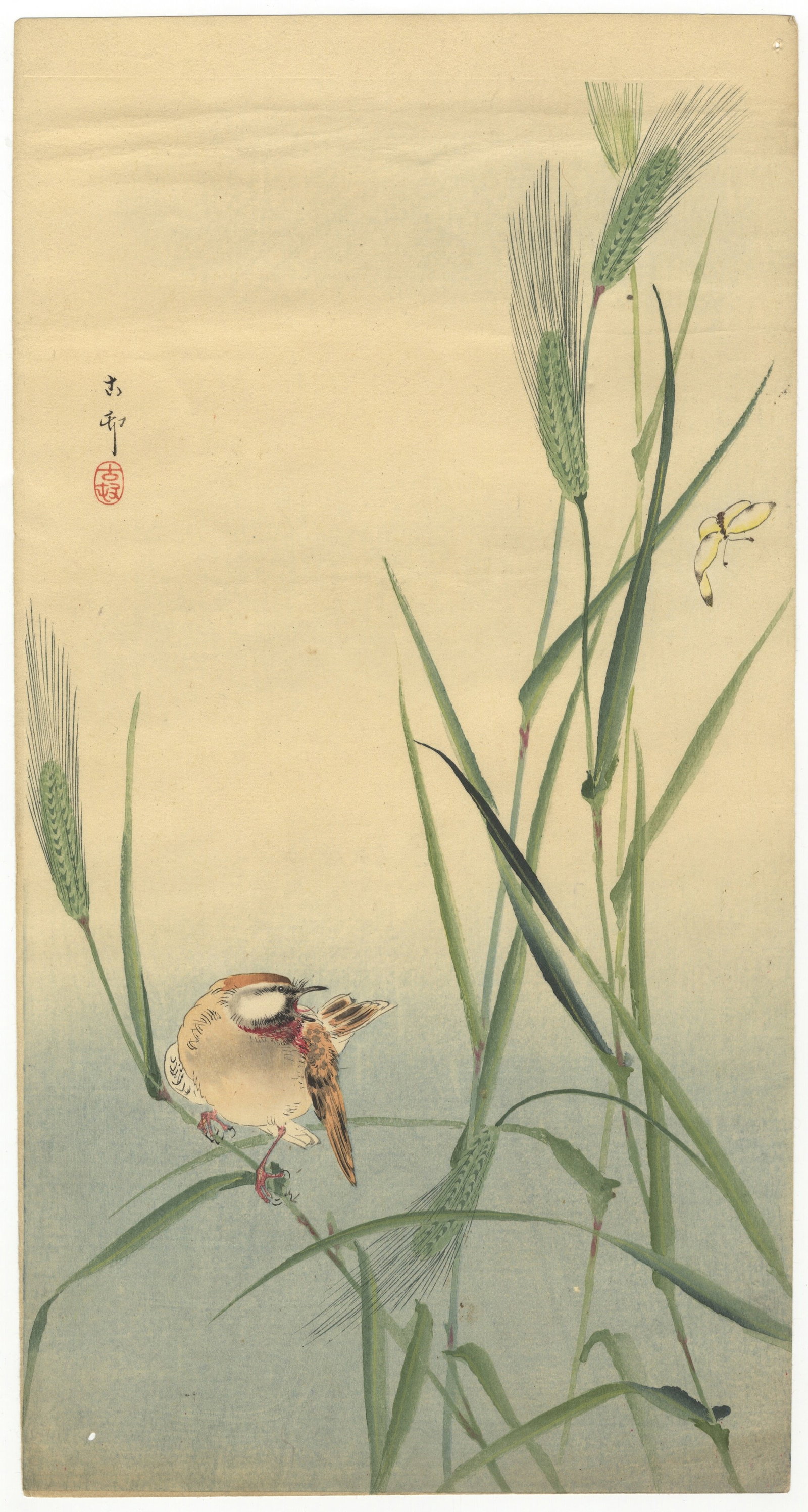 Koson Ohara, Songbird on Barley Stalk, Japanese Antique *: Artist: Koson Ohara (1877-1945) Title: Songbird on Barley Stalk Publisher: Daikokuya Date: c.1910 Size: 36.4 x 19.4 cm Condition: Small hole, good impression in lines, minor creases and pit. * Please 