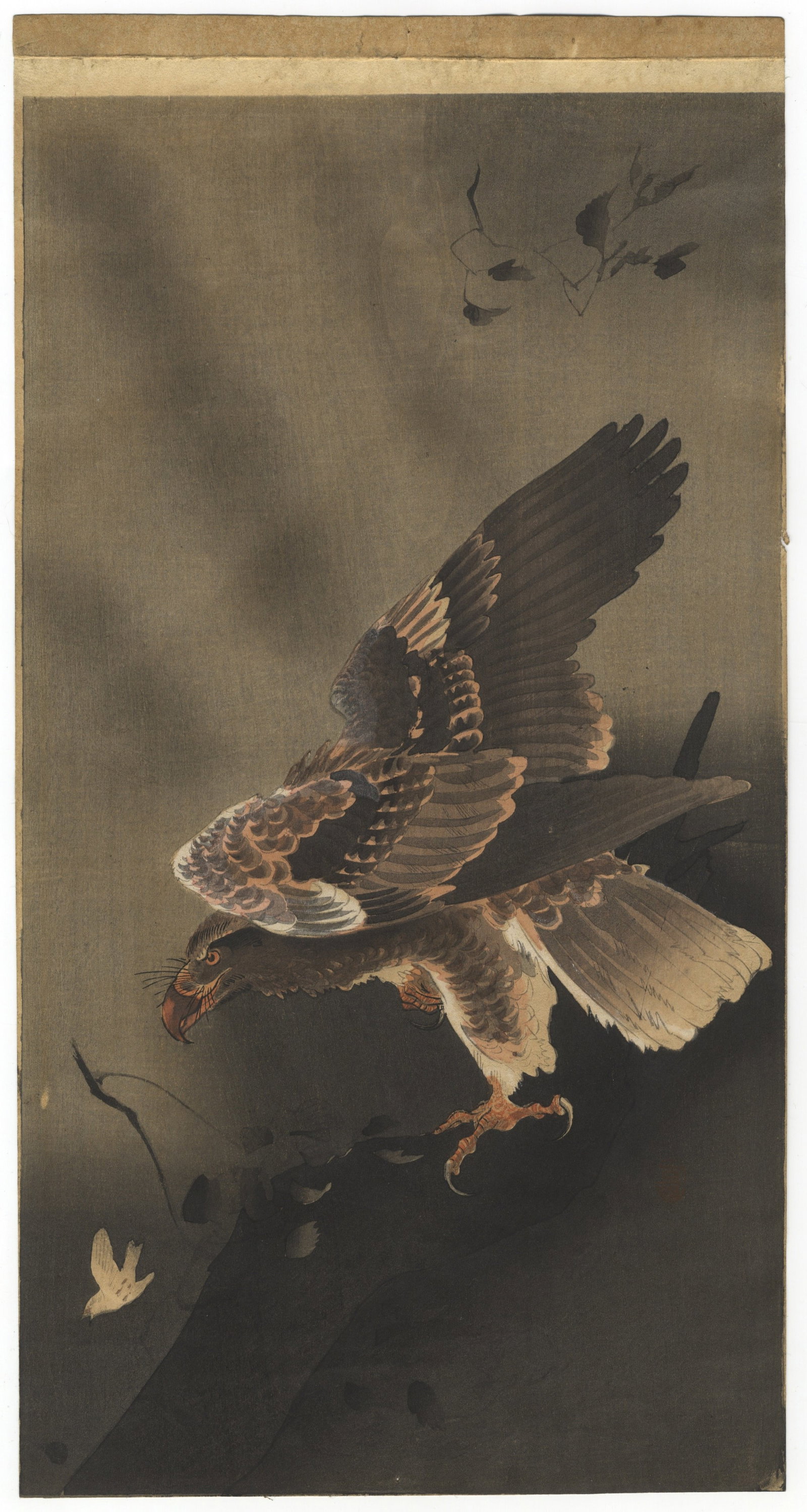 Koson Ohara, Eagle with Outspread Wings, Shin-Hanga (1 of 2)