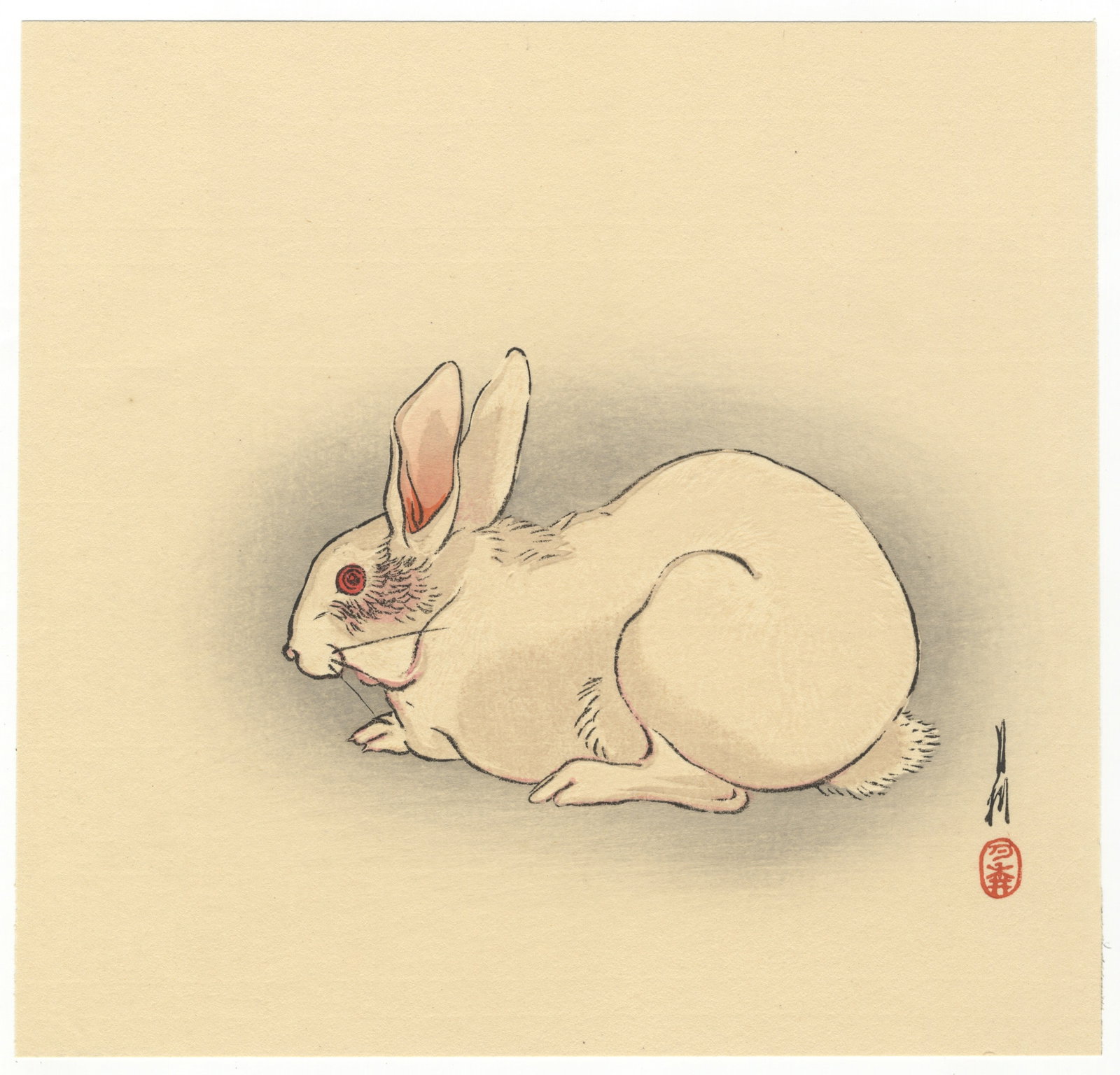Gekko Ogata, White Rabbit, Japanese Woodblock Print: Artist: Gekko Ogata (1859-1920) Title: White Rabbit Publisher: Daikokuya Date: c. 1910s Size: 23.5 x 24.7 cm Condition: Excellent. Ref: JG1125MR04