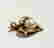 item-108200174=3