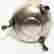 item-128937854=4