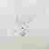 item-129767081=5