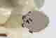 item-133240581=9