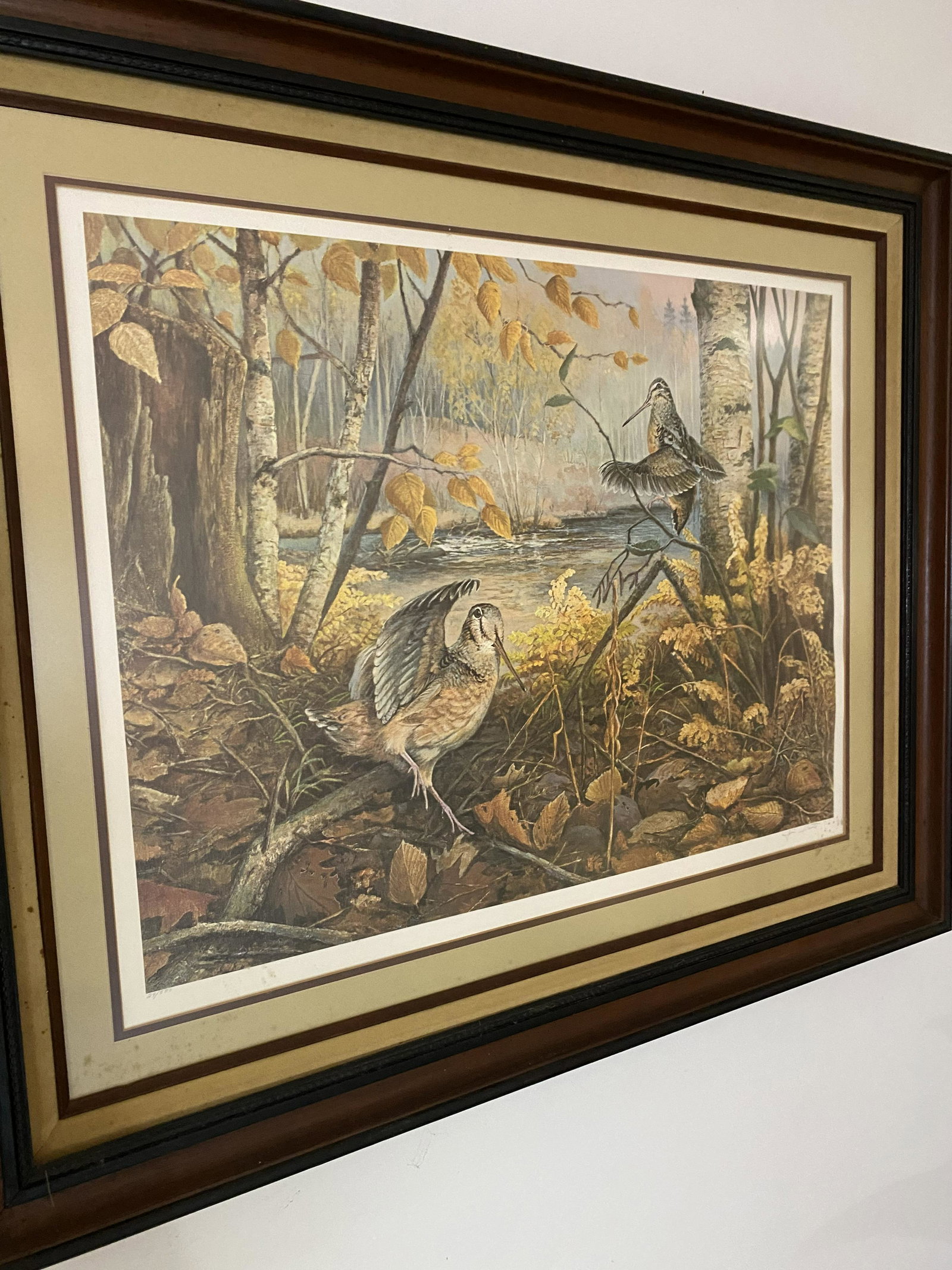 Limited Edition Lithograph of Woodcock by Jim Foote: Limited Edition Lithograph of Woodcock by Jim Foote, this being number 29 out of 580, professionally matted and framed in a deep dish walnut frame with UV light filtering glass, Excellent Condition, 3