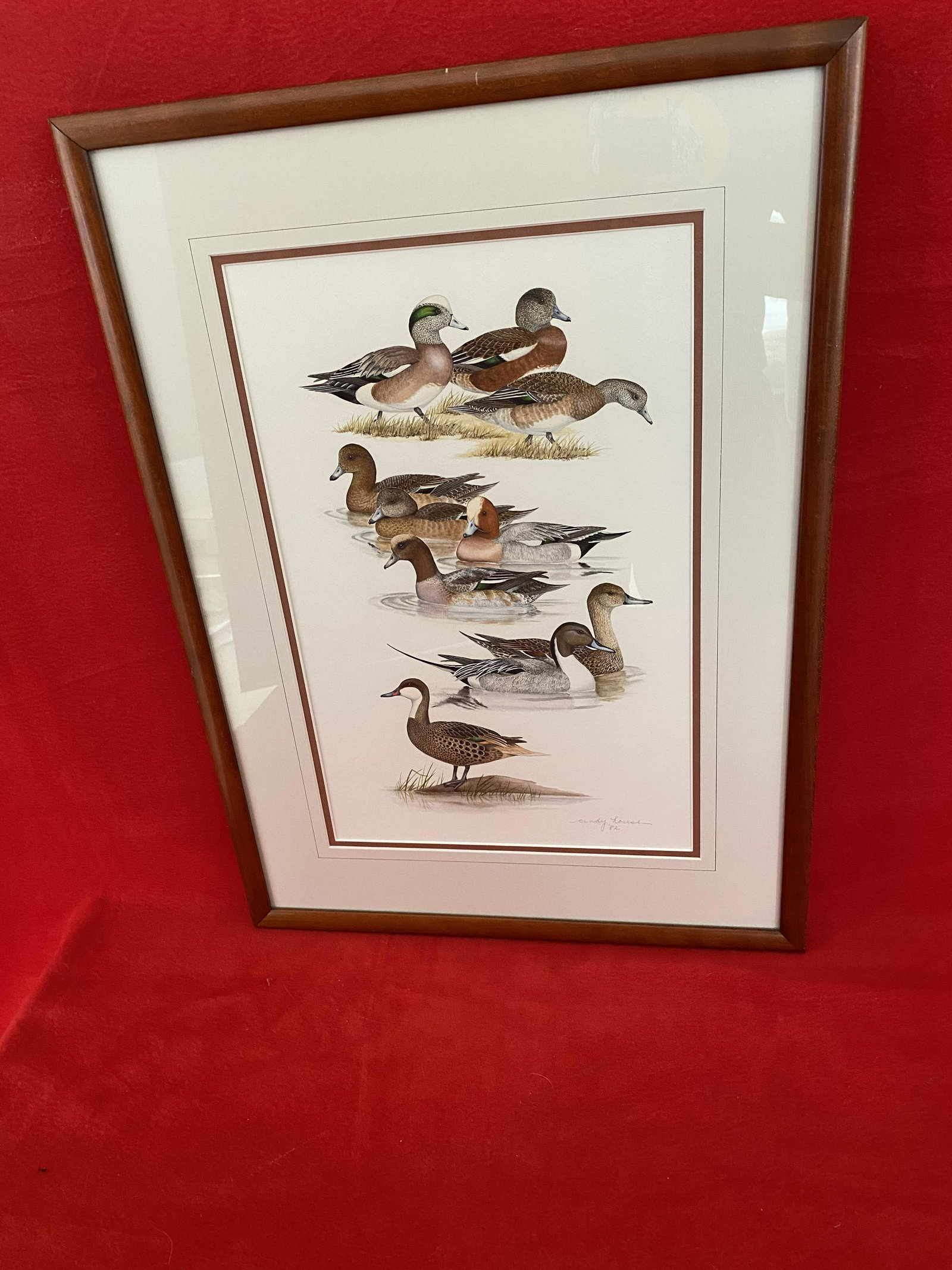 Original Watercolor Painting by Cindy House: Original Watercolor Painting by Cindy House (who was named the 2018 Master Artist for the Leigh Yawkey Woodson Art Museum’s 43rd annual “Birds in Art” exhibition and is ranked in the