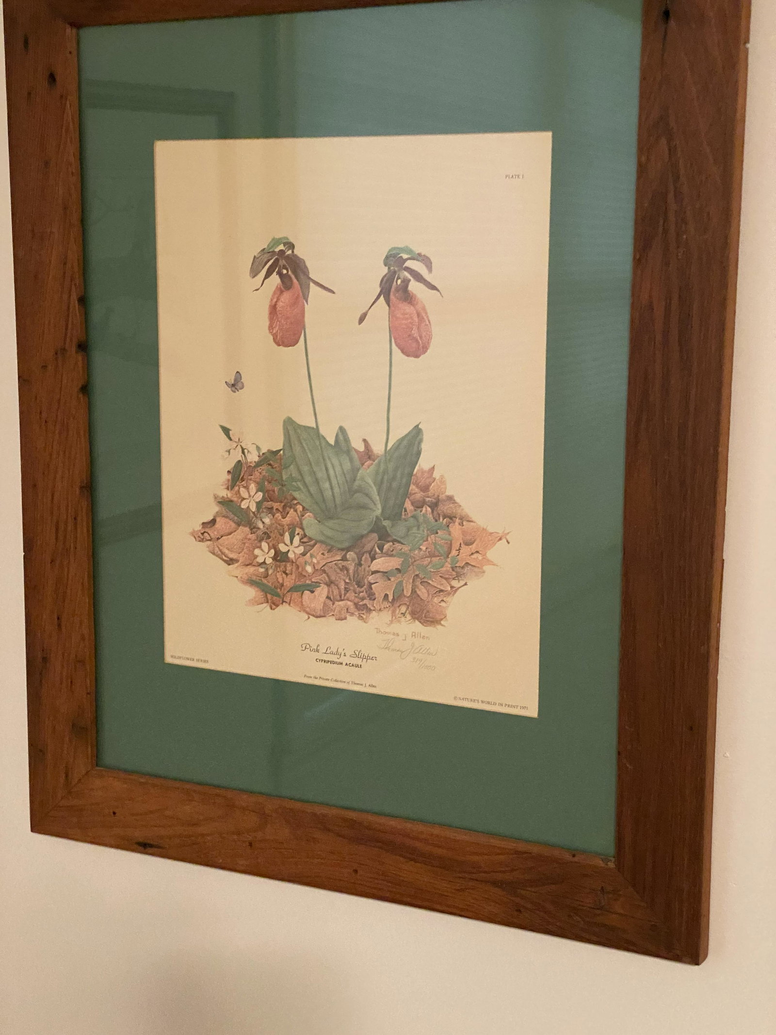 Pair of Framed Botanical Prints by Thomas J. Allen: Pair of Framed Botanical Prints by Thomas J. Allen, which includes one of Red Trillium - the other of Pink Ladies Slippers, both being # 319 of 1000 done in 1975, 25"x20.5" overall - 14.5"x11.5" sight
