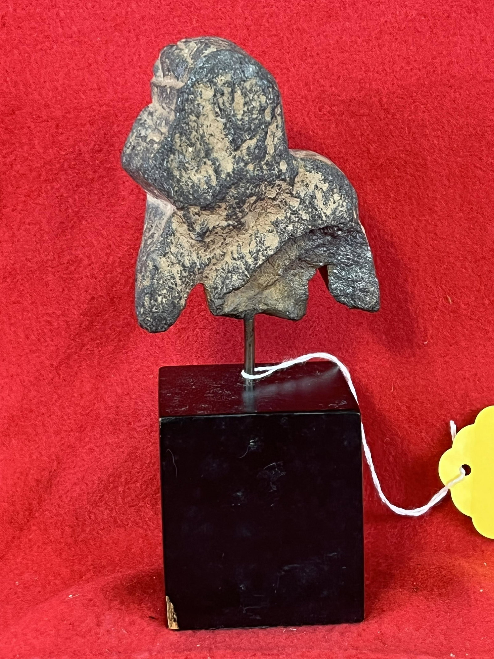 13th Century English Artifact / Sculpture: A 13th Century Carved Stone Artifact / Sculpture On A Museum Stand. Artifact Itself Measures Approximately 3 3/4" Tall. Condition - Is As Shown.