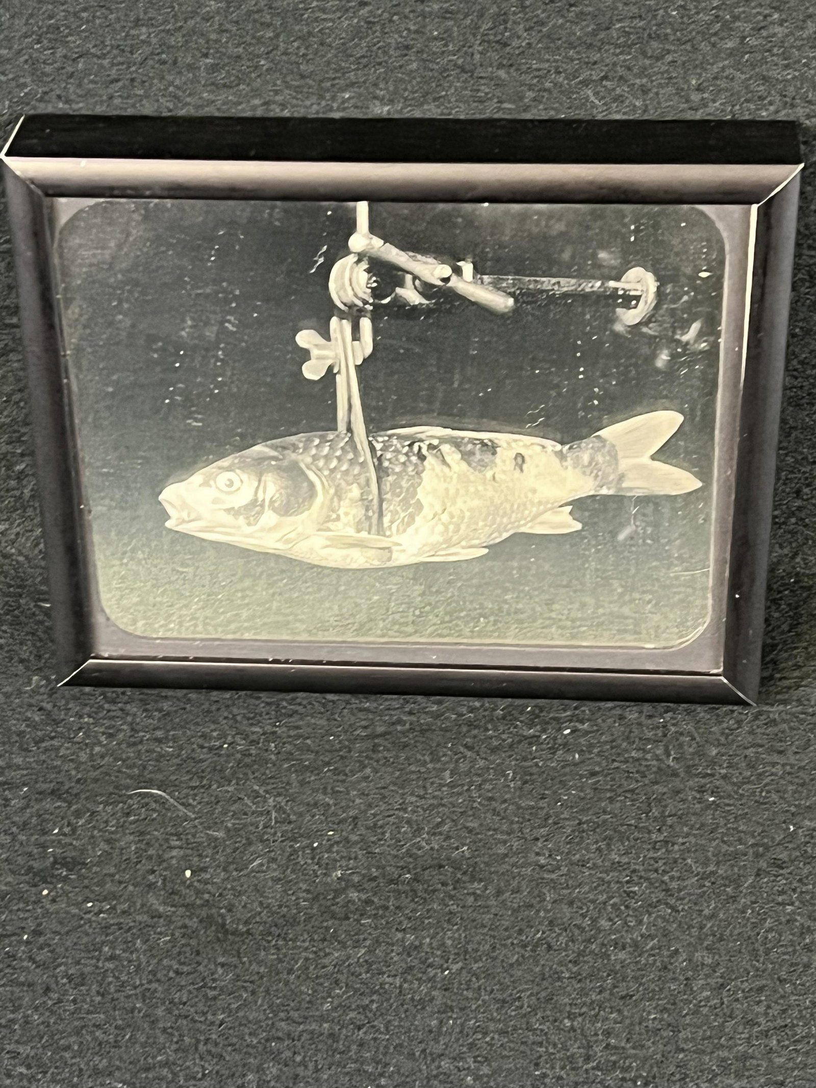Contemporary Daguerreotype "Talbot" By John Hurlock: A contemporary approximately 5" by 4" (quarter plate) daguerreotype titled "Talbot" by John Hurlock who began making daguerreotypes in 1956. The image is in its original contemporary frame and is sign