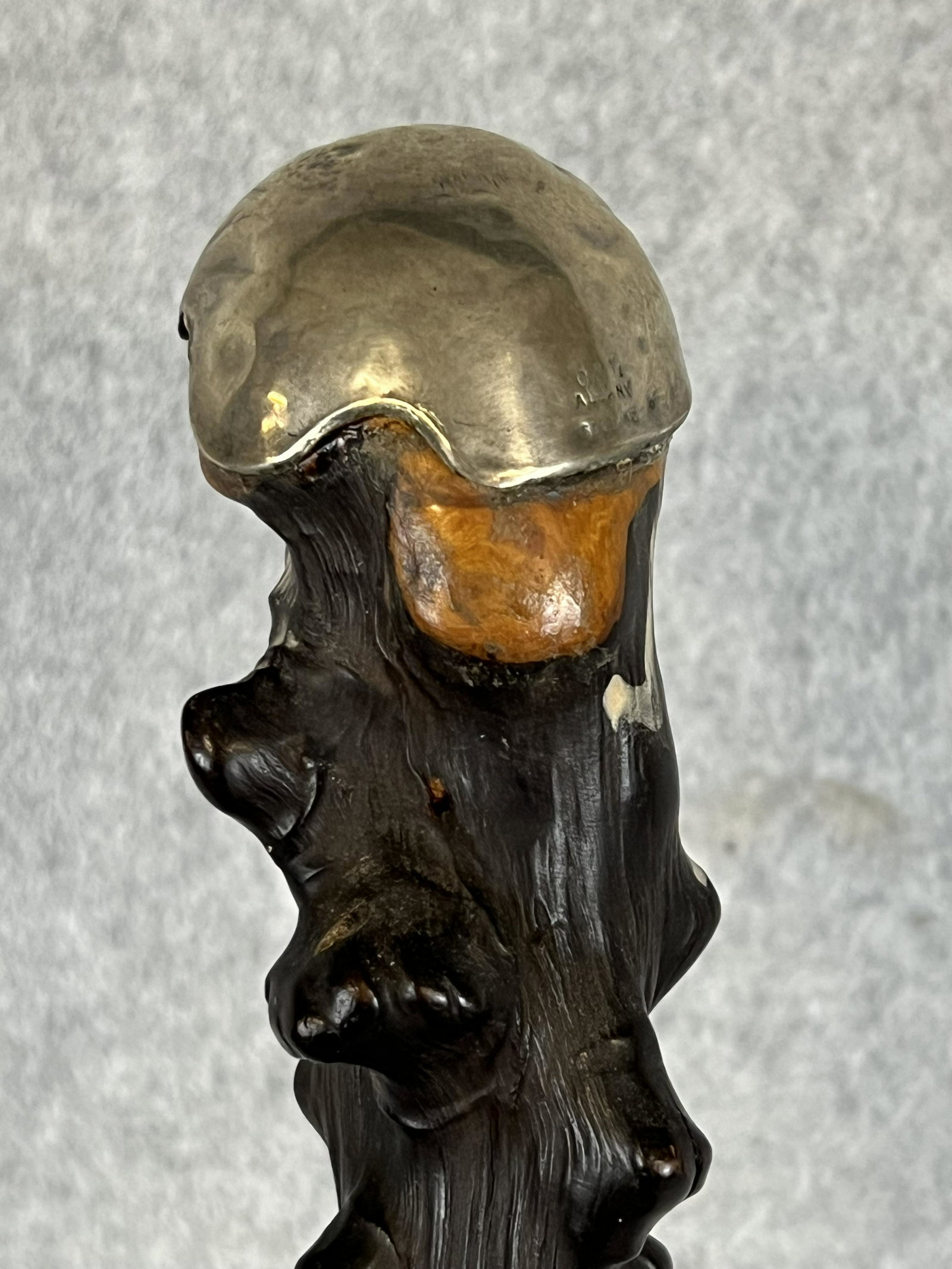 Antique Cane Dated 1895 C & T Albany Sterling: Antique cane / walking stick with a sterling silver handle which is marked C & T Albany Sterling along with a sterling silver shield shaped device on the knobby wooden shaft with '95 (1895) embossed a