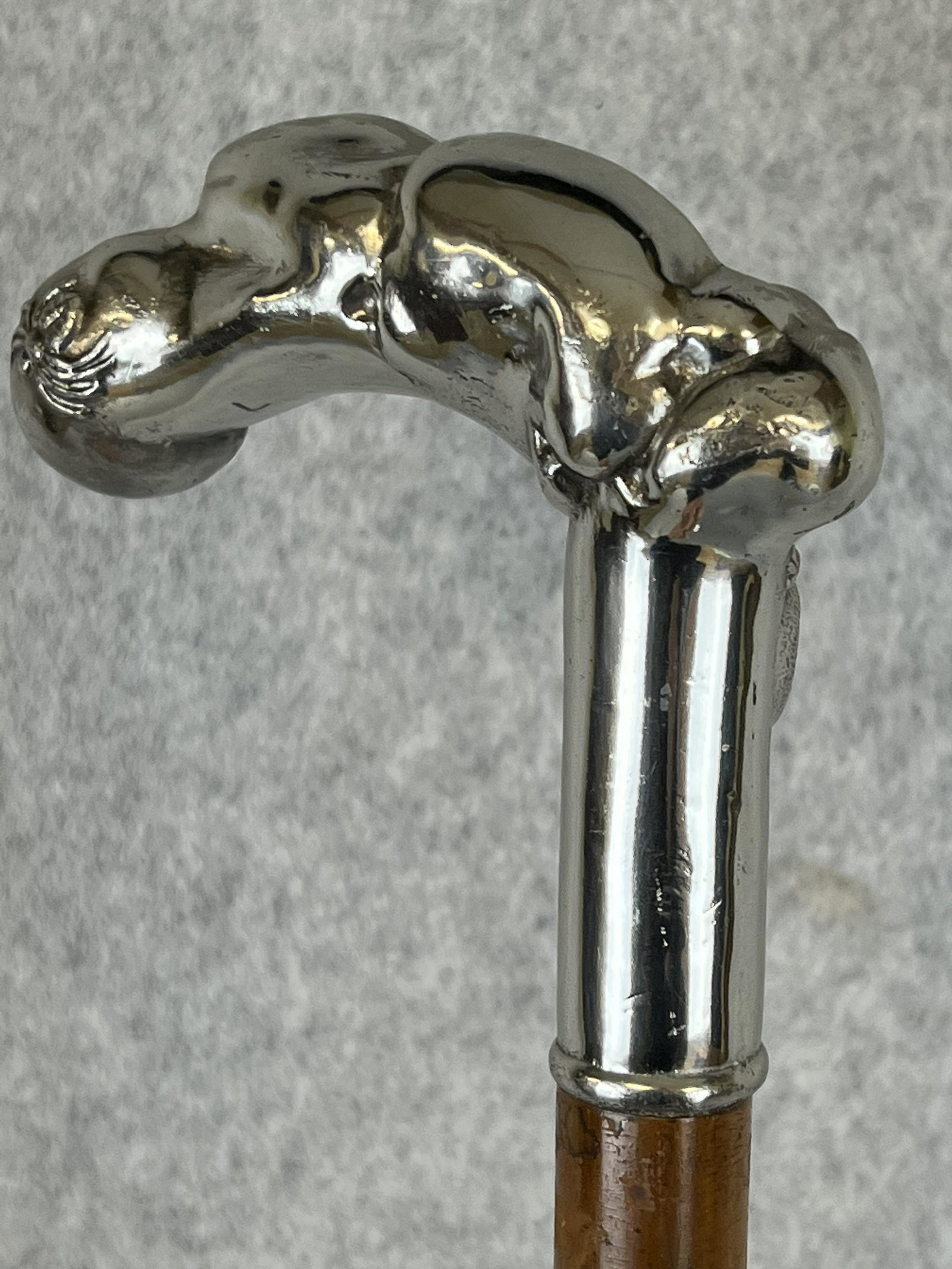 Antique Silver Handled Cane With Spider & Salamander: Antique cane / walking stick with a silver handle (not marked but believed to be sterling silver) which is of irregular form with a depiction of a spider and a salamander. The handle measures approxim