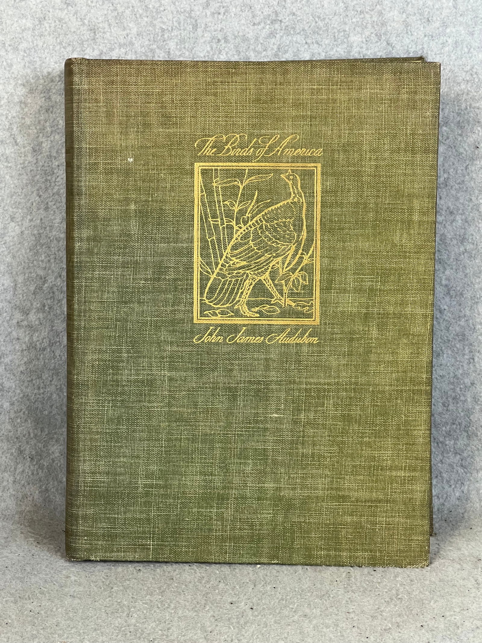 The Birds Of America 1937 Macmillan Co (1 of 12)
