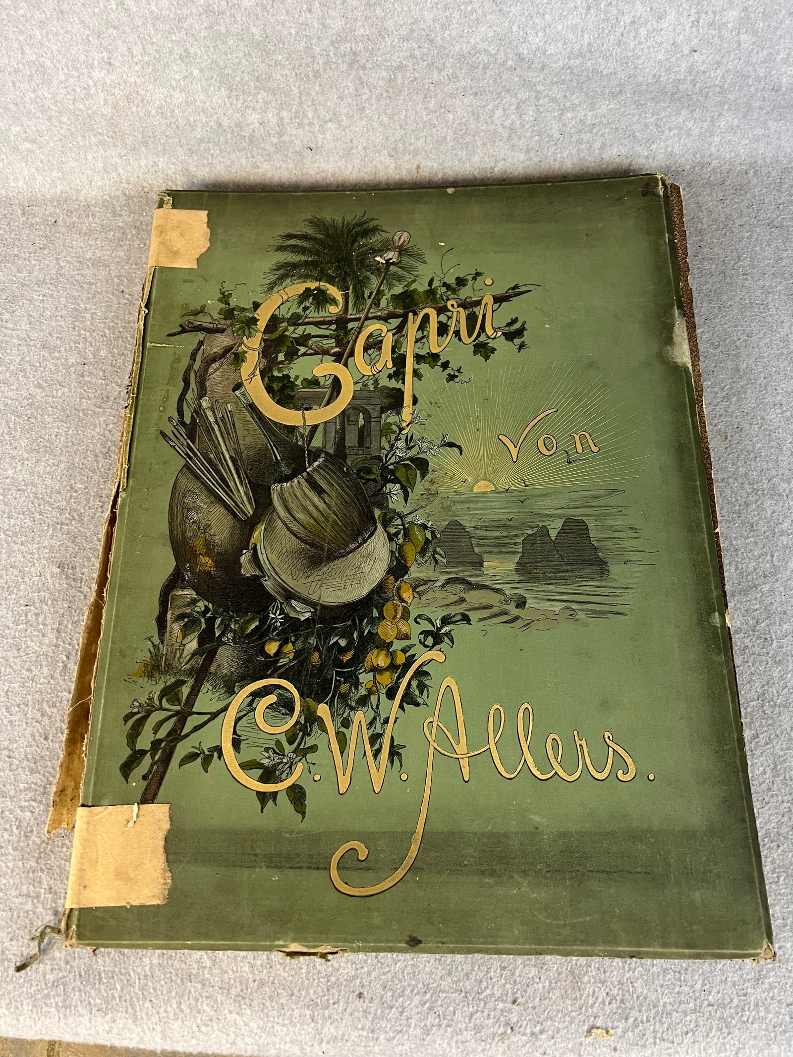 Book- Capri Von C. W. Allers 1892 (1 of 10)