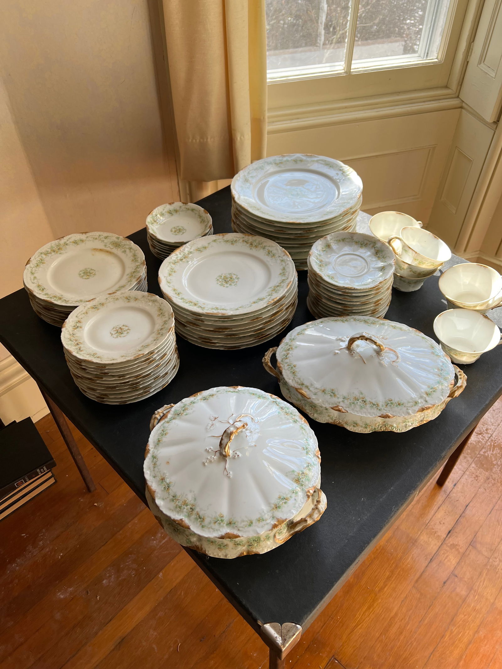 Extensive Antique Theodore Haviland Limoges Dinnerware Set (1 of 4)