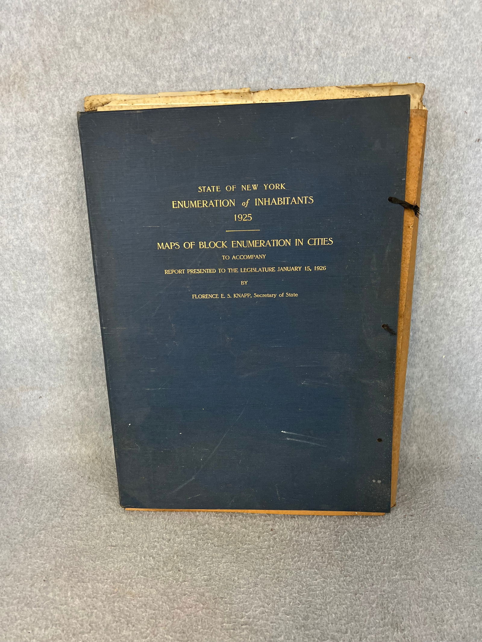 State Of New York Enumeration Of Inhabitants 1925 / Maps Of Block Enumeration In Cities (1 of 6)