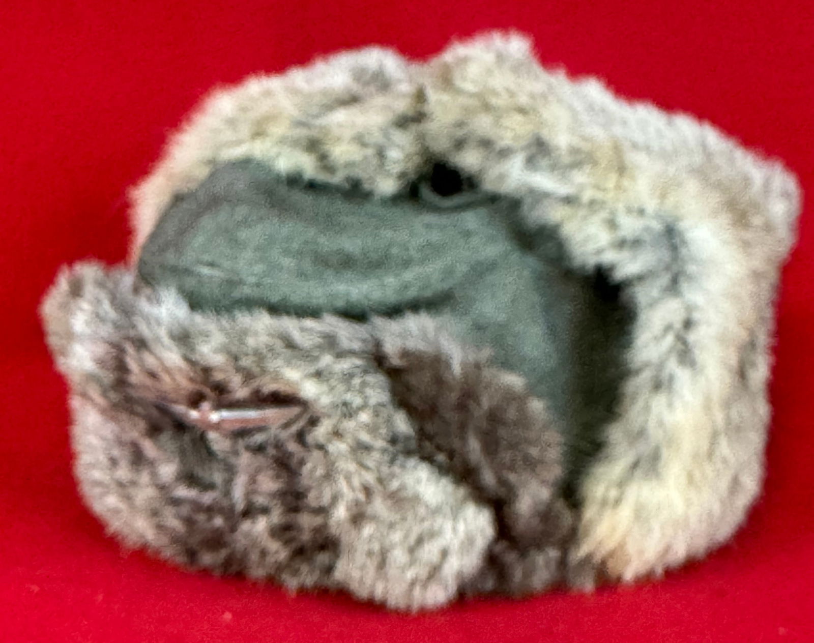 WW2 German Winter Fur Cap: World War Two Nazi German dated 1942 fur cap with stamped Nazi eagle insignia attached at front. Cap is in fine condition as shown.