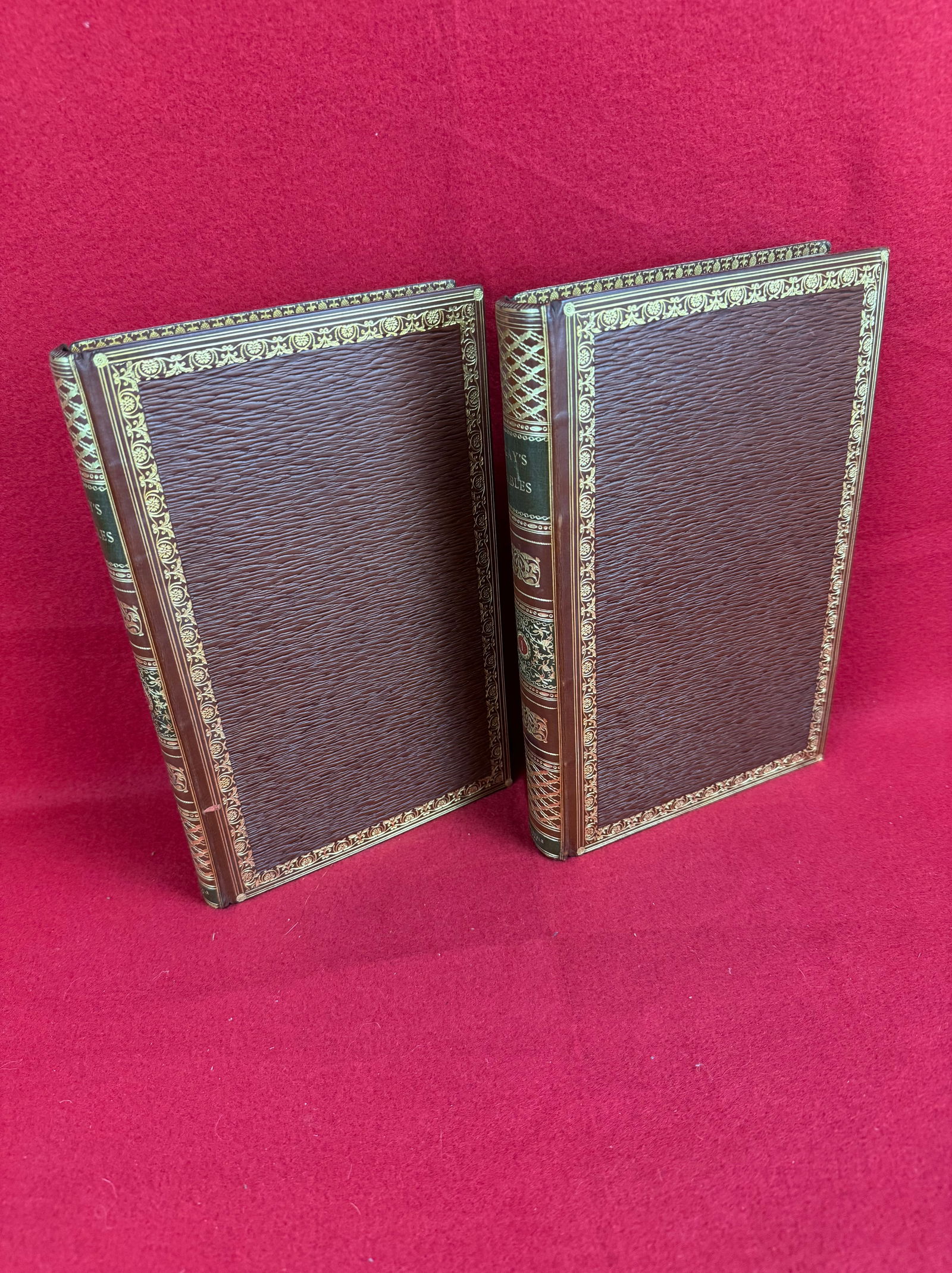 Book- Fables By John Gay Published 1793 2 Vols.: Two volume set of antique books titled "Fables By John Gay With A Life Of The Author And Embellished With Seventy Plates" which was printed in London for John Stackpole in 1793. Twelve of the plates a