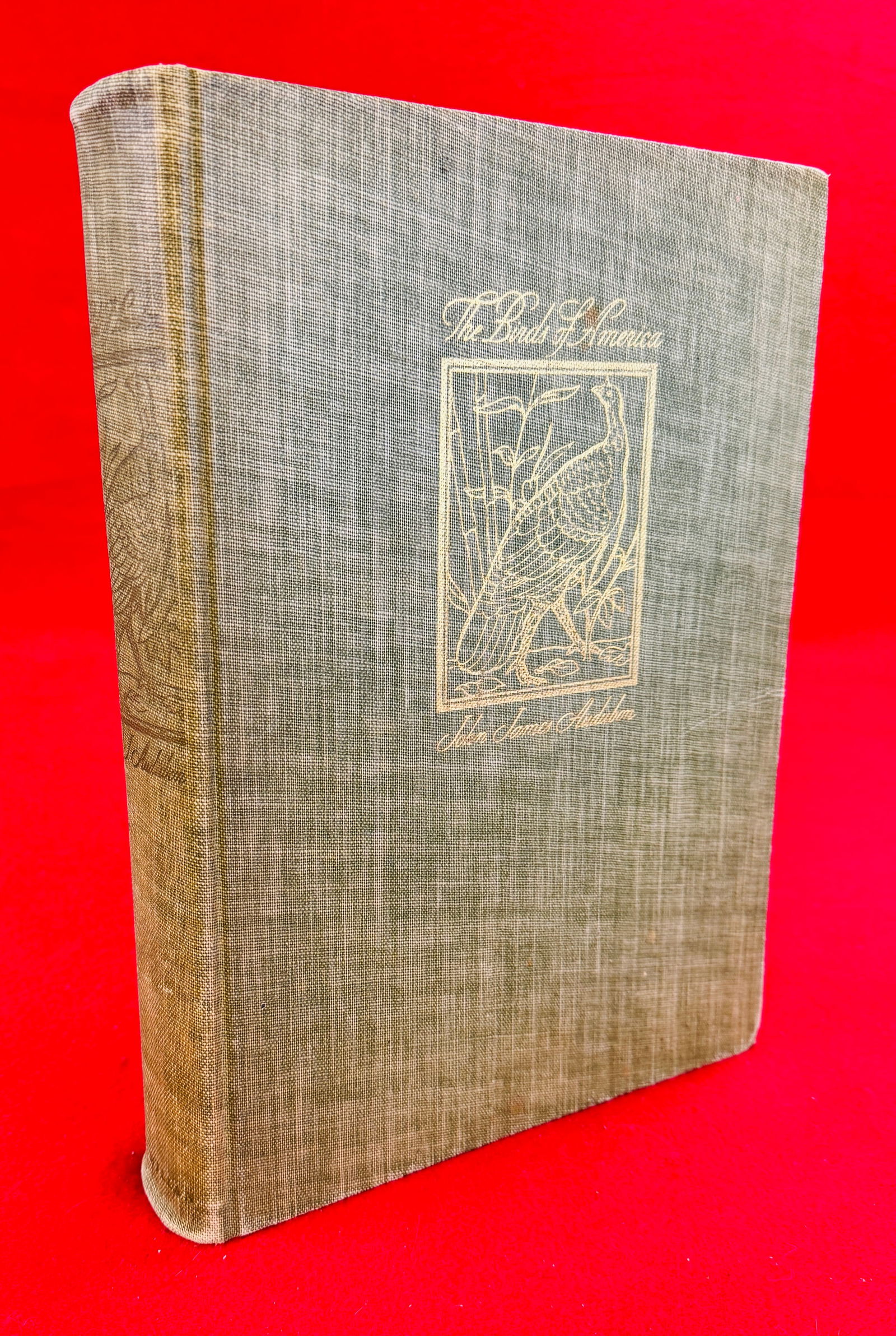 Book: The Birds Of American (1937 Printing) (1 of 3)