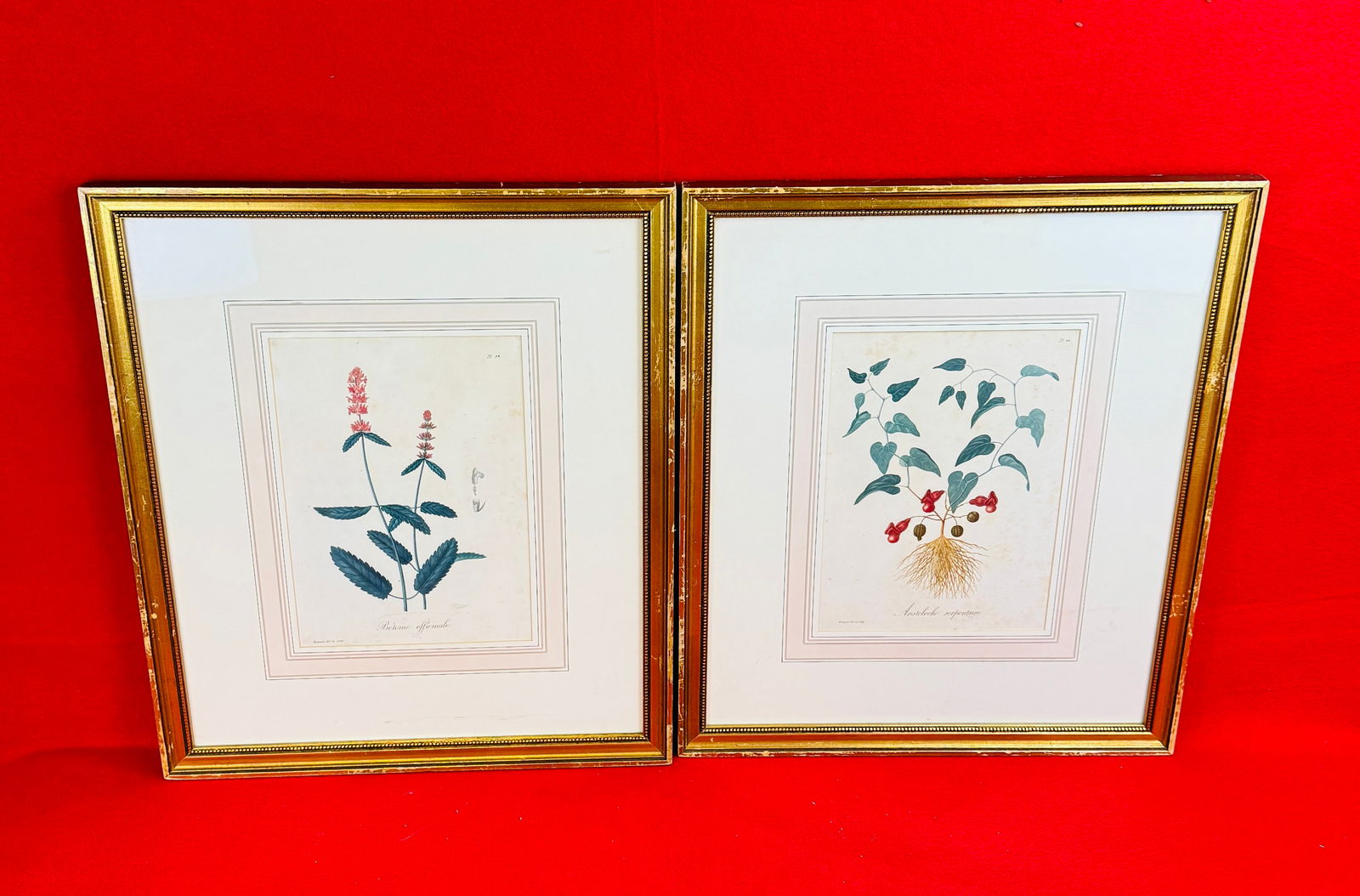 2 Antique Edouard Hocquart 1821 Botanical Prints (1 of 4)