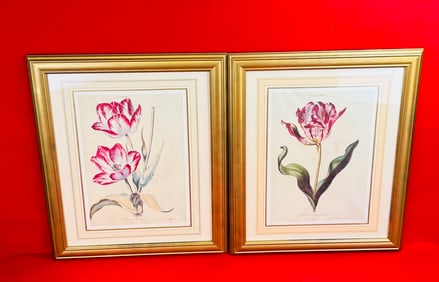 Pr Framed Reprint Botanical Prints