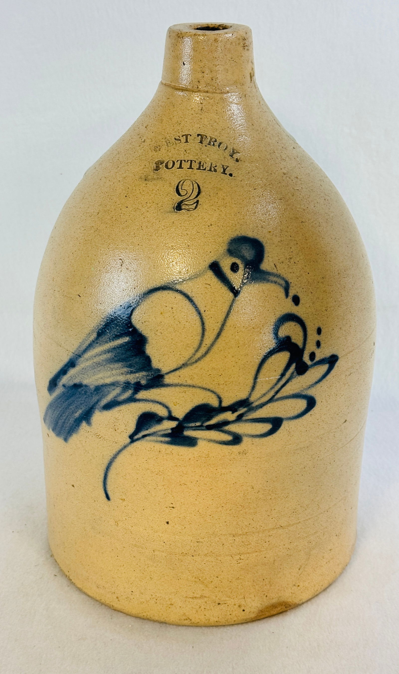 West Troy Pottery Jug With Large Bird Decoration (1 of 6)