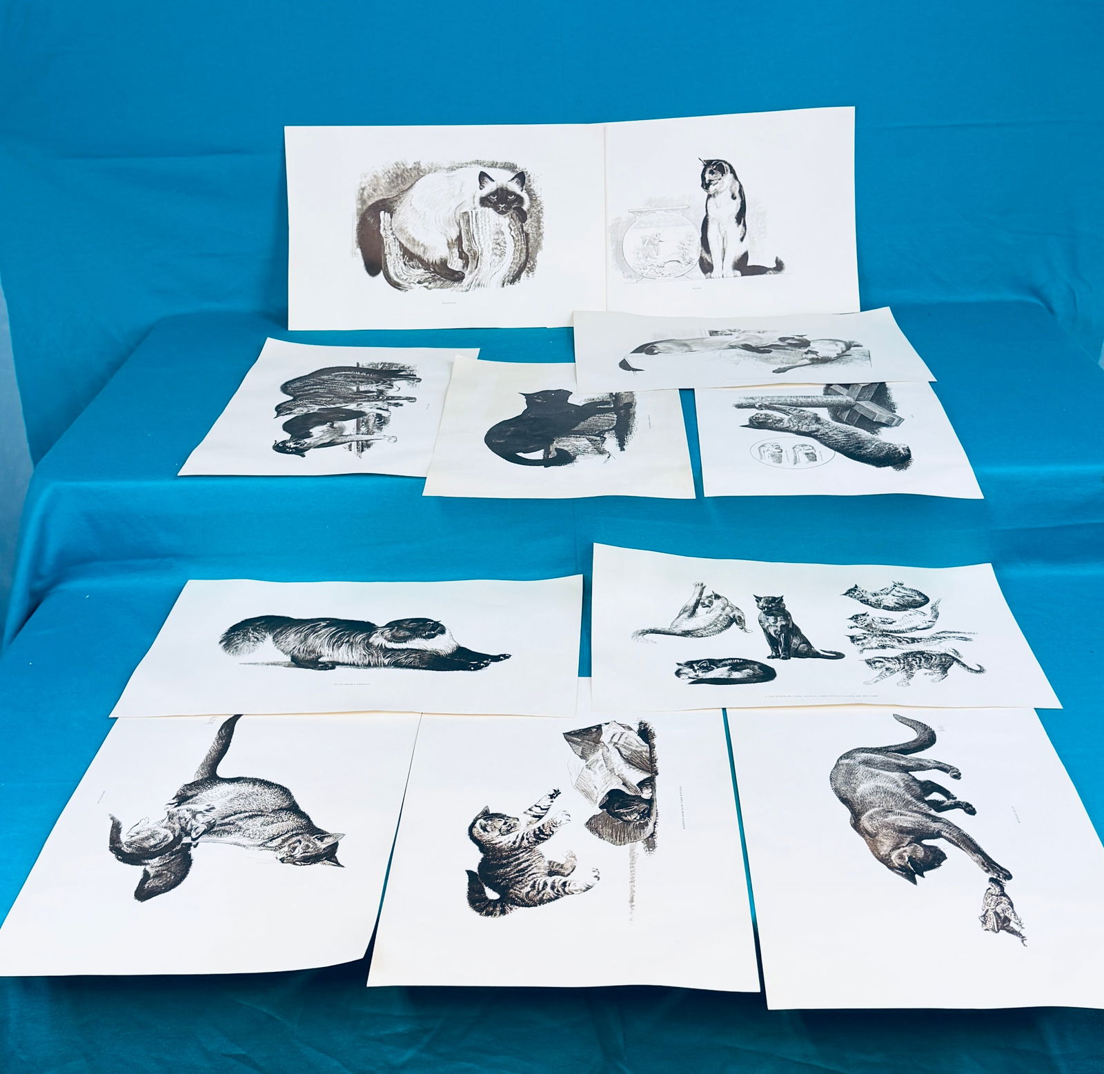 Lot 10 Cat Theme Prints (1 of 8)