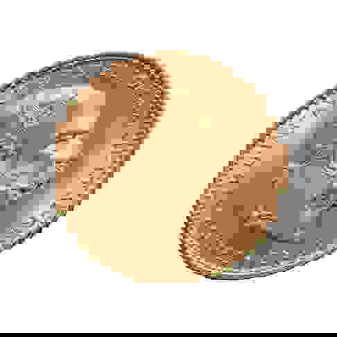 Austria 20 Corona Gold Coin Auction