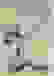 item-79849599=3