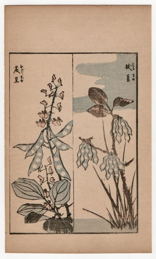 Katsushika Hokusai : Antique Japanese Woodblock Print (1 of 2)