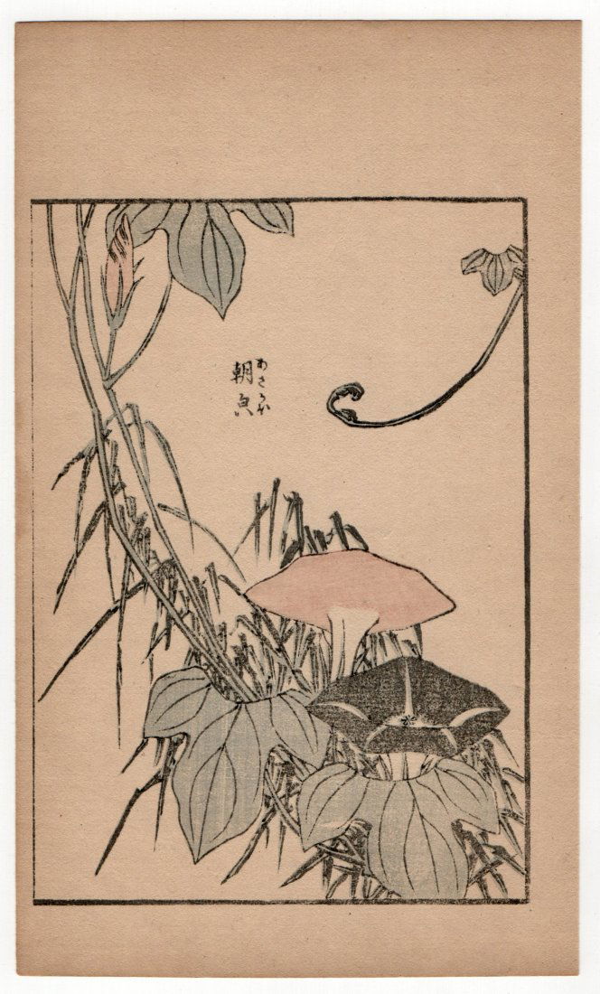Katsushika Hokusai : Antique Japanese Woodblock Print (1 of 2)