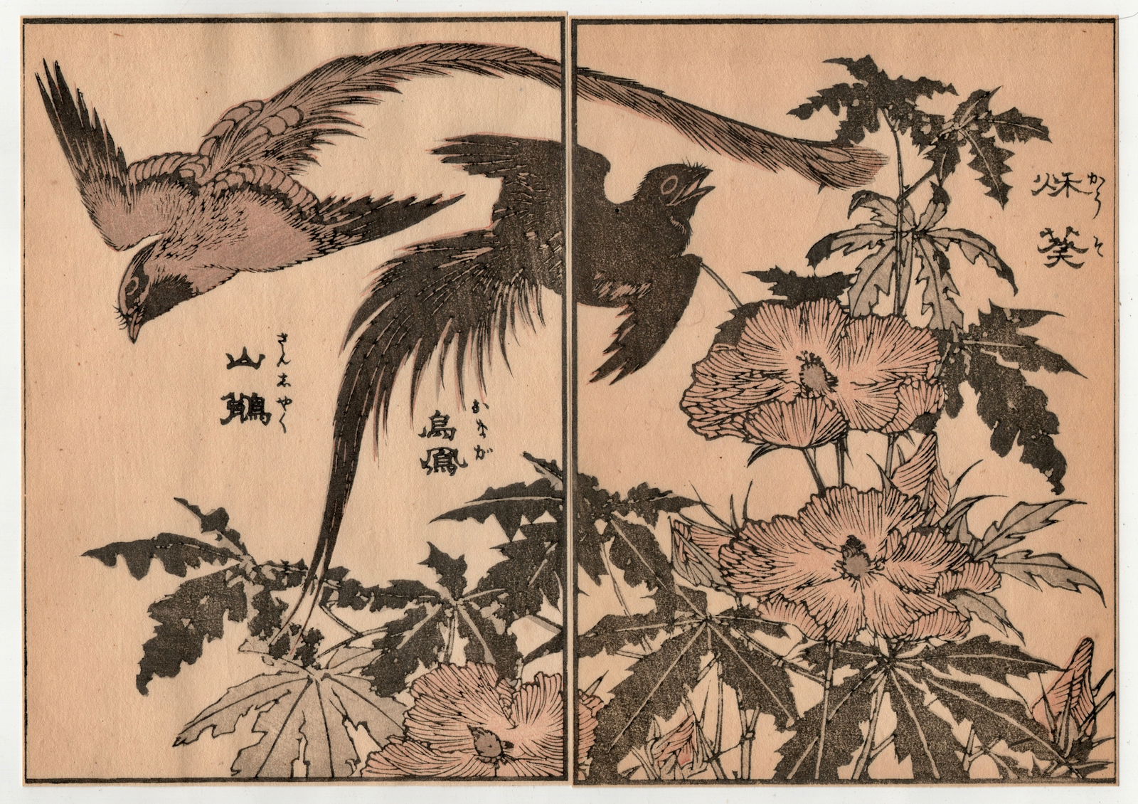 Katsushika Taito II Diptych Woodblock: Artist: Katsushika Taito II. Title: "Birds and Flowers" Circa: Meiji (1868-1912). Size: Each Sheet (7x5in) Total (7X10in) Medium: Woodblock Print, Ehon Edition. Paper Type. Mulberry. Place of Origin: