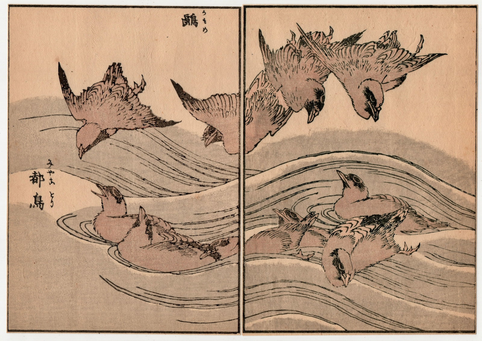 Katsushika Taito II Diptych Woodblock: Artist: Katsushika Taito II. Title: "Birds and Flowers" Circa: Meiji (1868-1912). Size: Each Sheet (7x5in) Total (7X10in) Medium: Woodblock Print, Ehon Edition. Paper Type. Mulberry. Place of Origin: