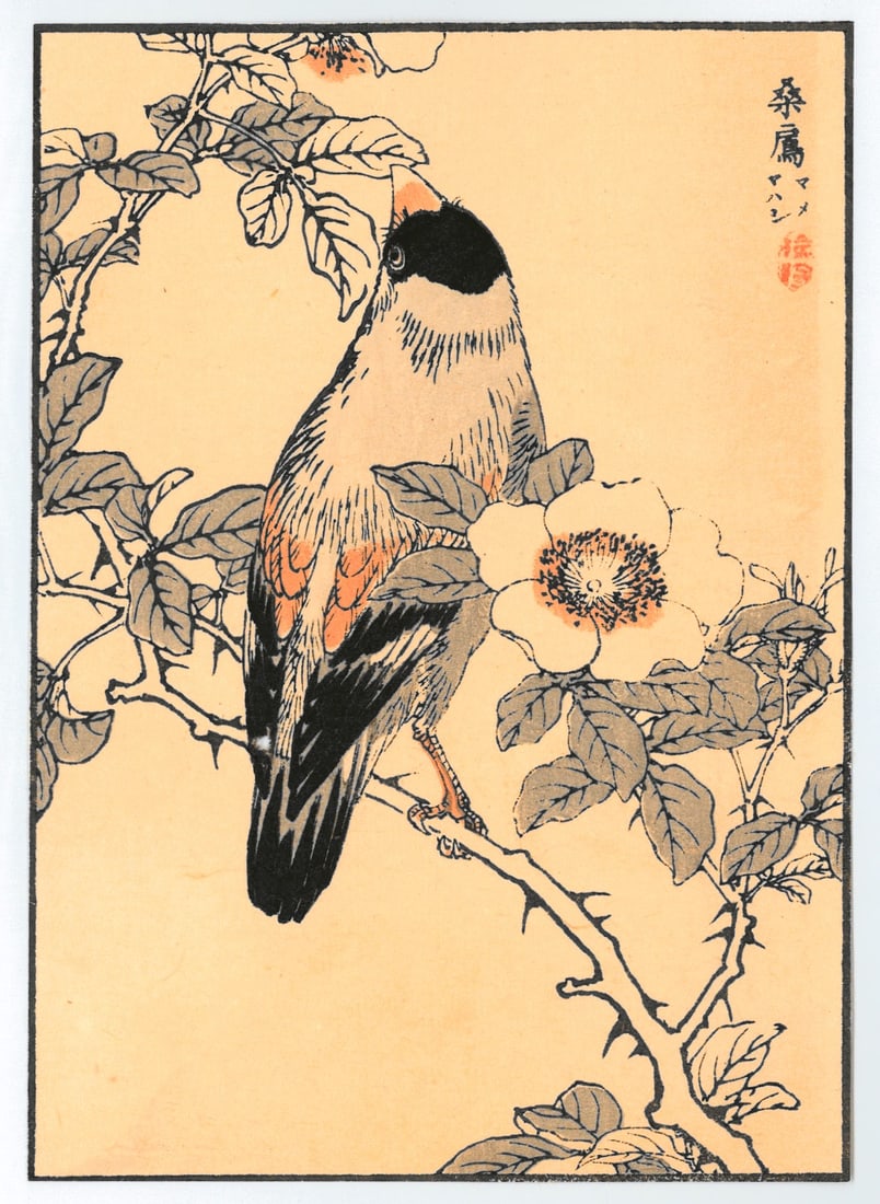 Woodblock Print by Kono Bairei : One Hundred Pictures of Birds (1 of 2)