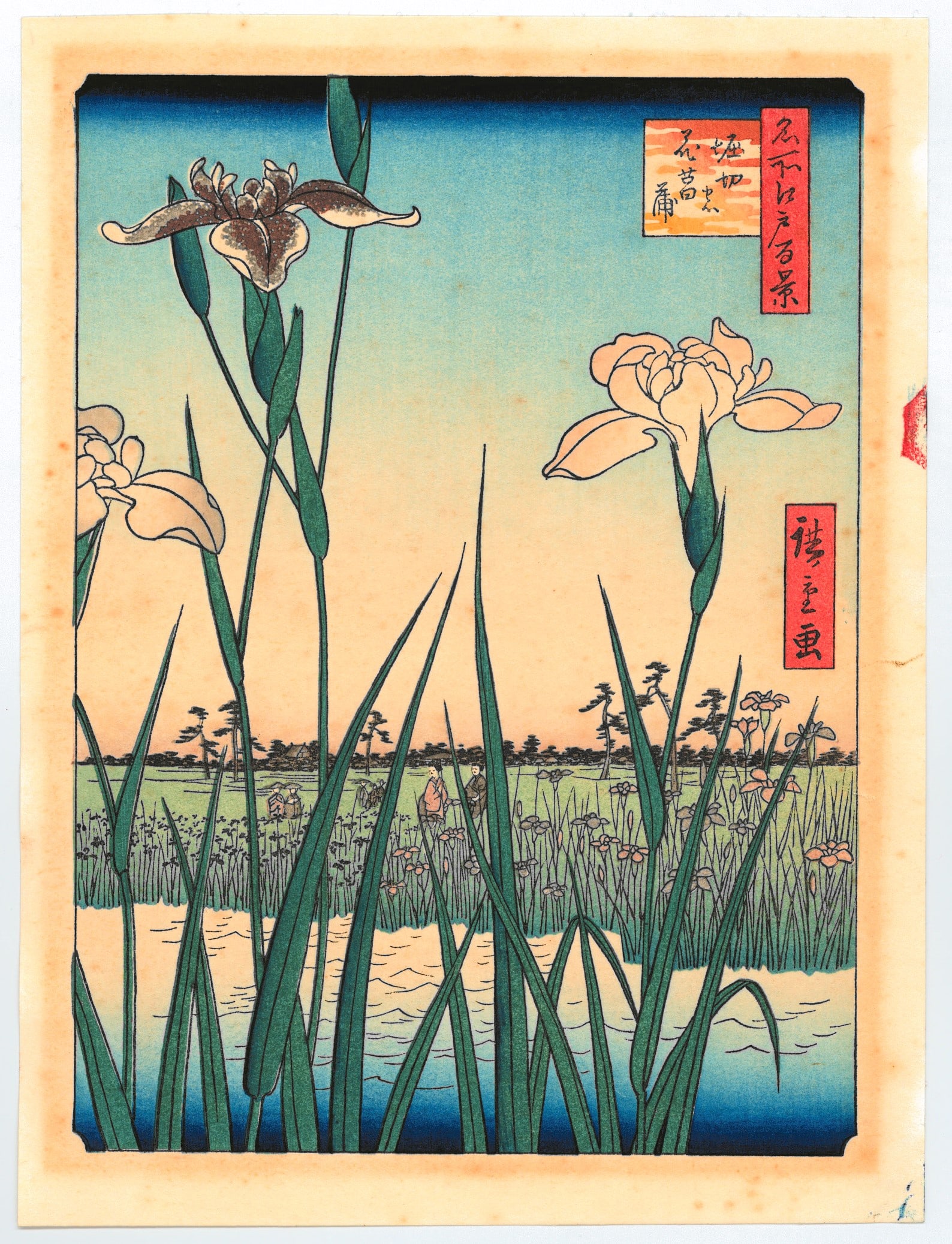 Ando Hiroshige: Horikiri Iris Garden: Artist: Ando Utagawa Hiroshige. Title: "Horikiri Iris Garden" Size: (10.1/4x7.1/2in). Paper Type: Washi. Medium: Authentic woodblock reproduction from recarved block. Series: One Hundred Famous Views