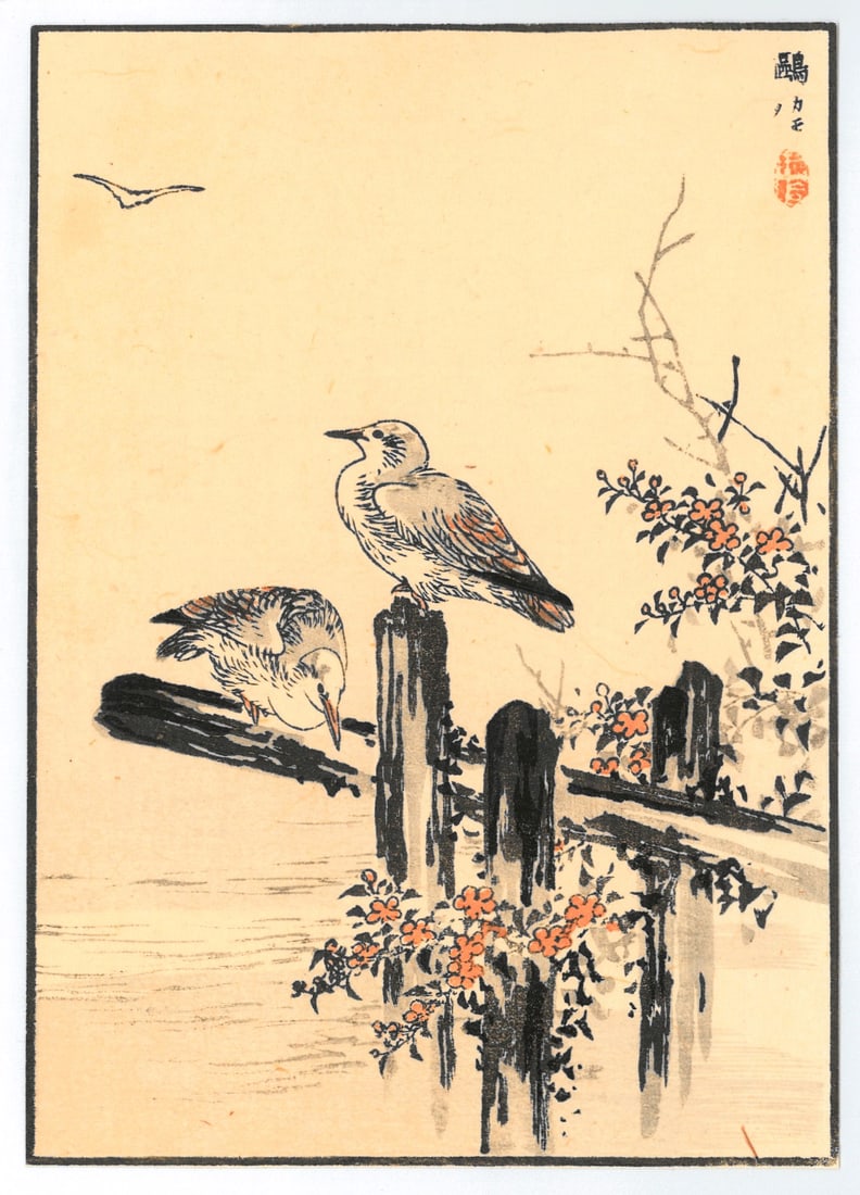 Woodblock Print by Kono Bairei : One Hundred Pictures of Birds (1 of 2)