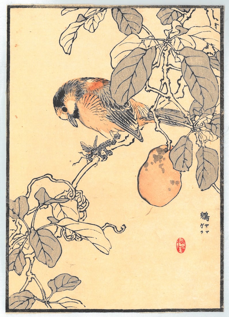 Woodblock Print by Kono Bairei : One Hundred Pictures of Birds (1 of 2)