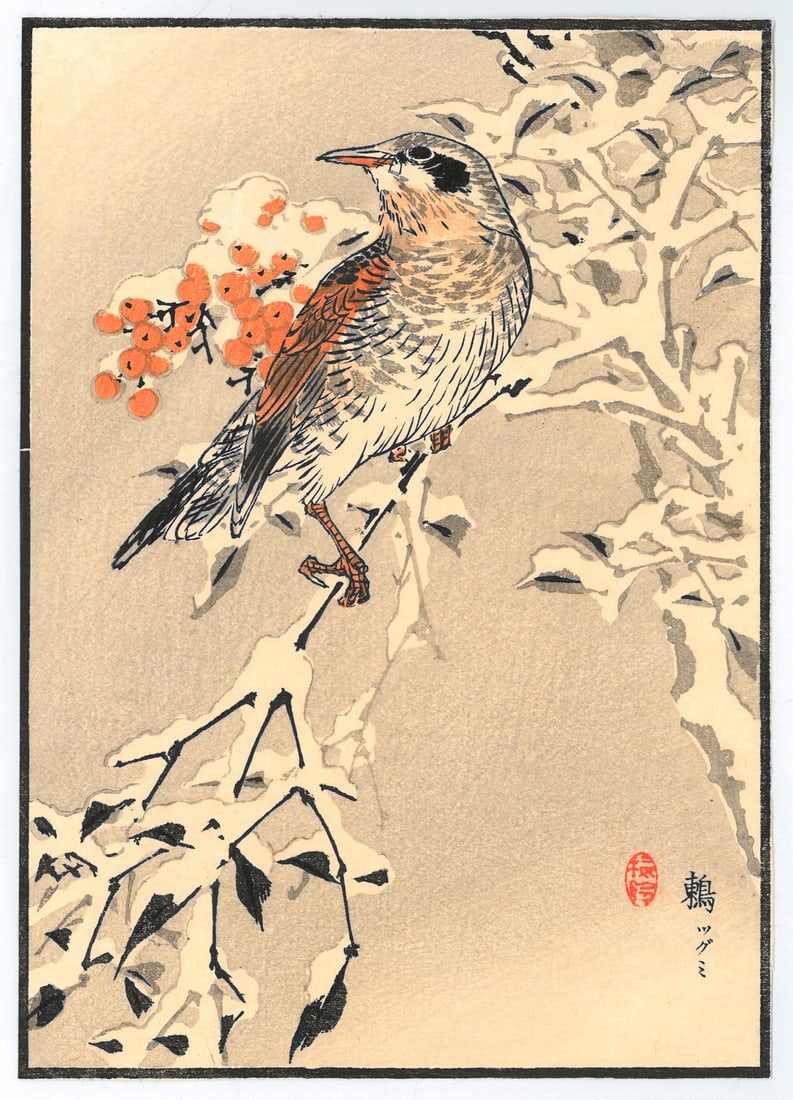 Woodblock Print by Kono Bairei : One Hundred Pictures of Birds (1 of 2)