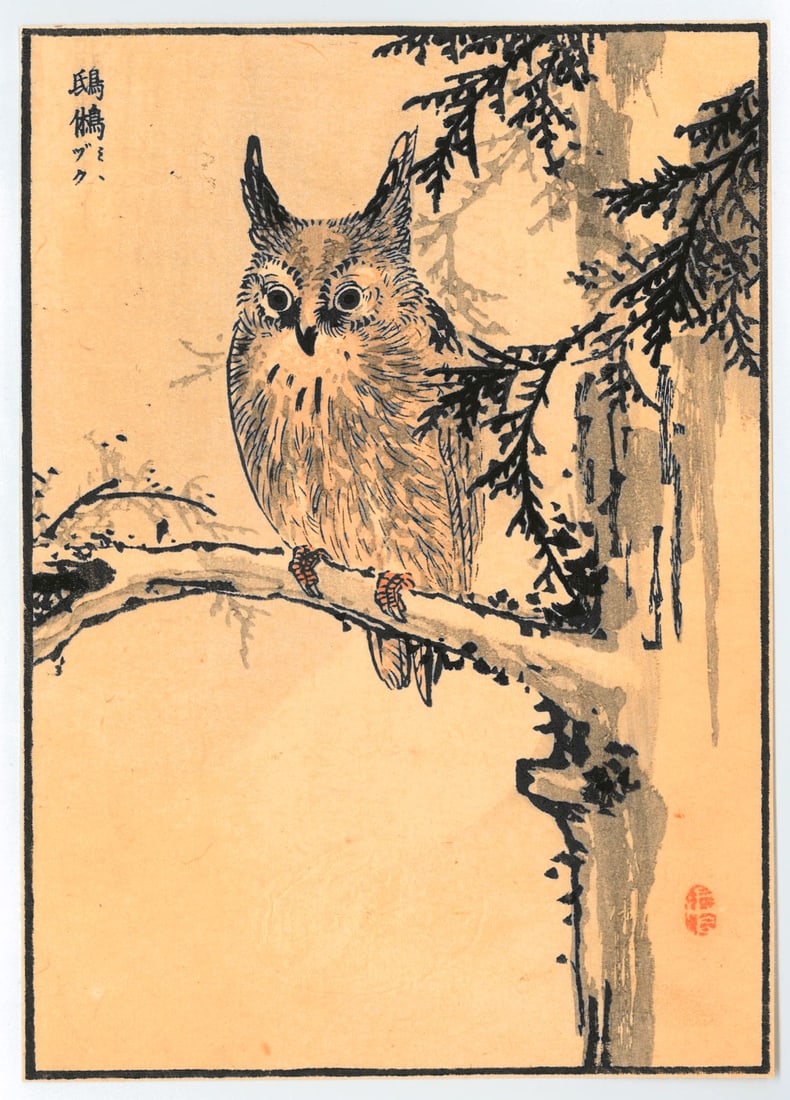 Woodblock Print by Kono Bairei : One Hundred Pictures of Birds (1 of 2)