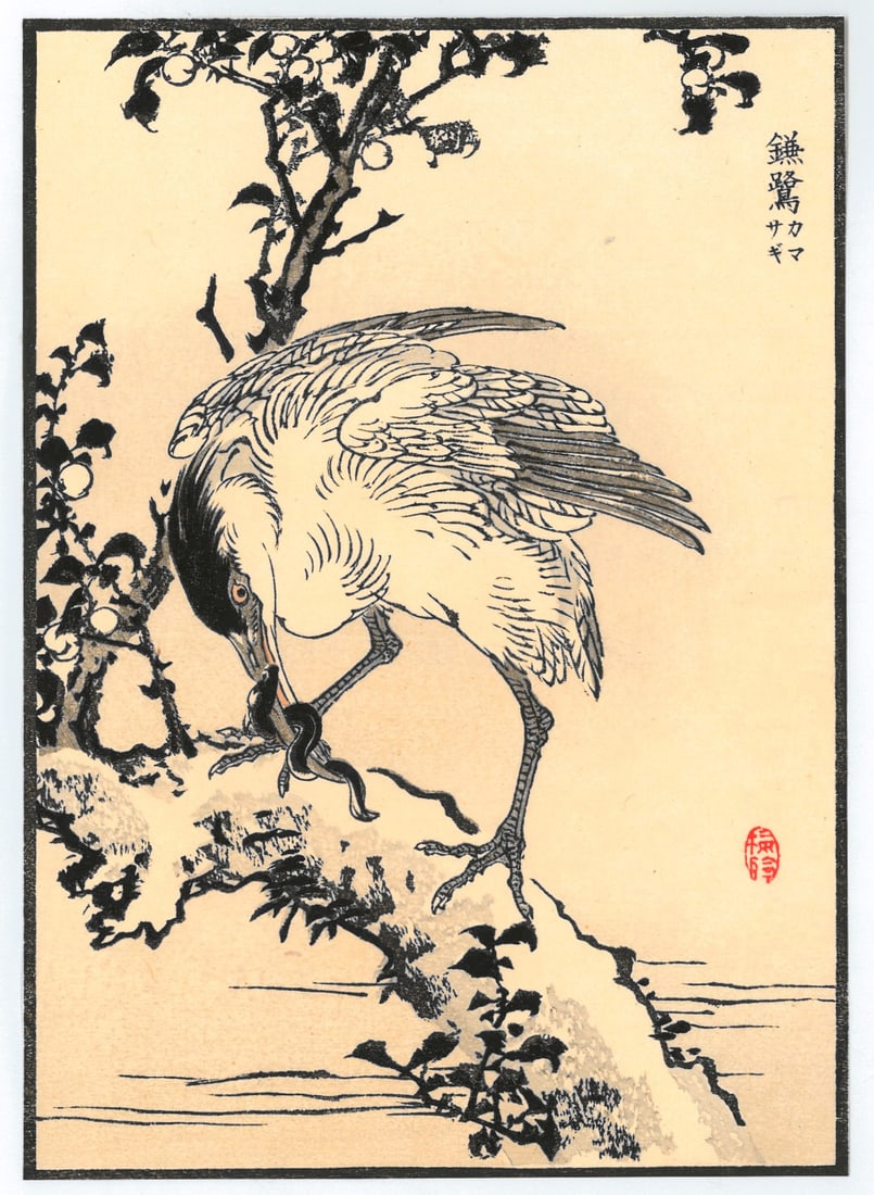 Woodblock Print by Kono Bairei : One Hundred Pictures of Birds (1 of 2)