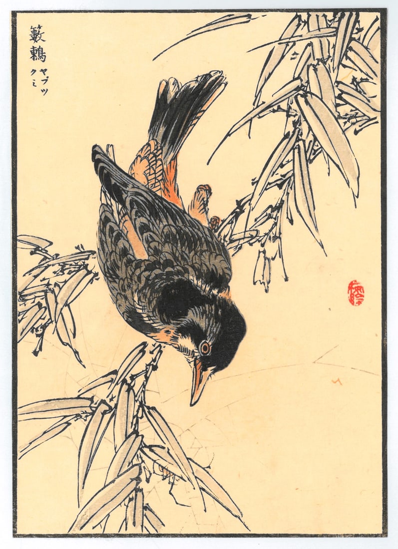 Woodblock Print by Kono Bairei : One Hundred Pictures of Birds: Artist: Kono Bairei. Title: "One Hundred Pictures of Birds" Medium: Woodblock. Size: (8.1/4x6in). Place of Origin: Japan. Circa: Meiji Period, (1868-1912). Format: Vertical. Paper Type: Washi. Publish
