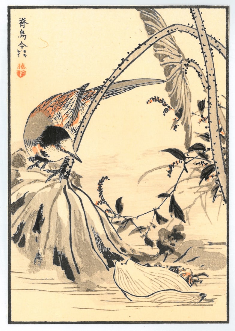 Woodblock Print by Kono Bairei : One Hundred Pictures of Birds: Artist: Kono Bairei. Title: "One Hundred Pictures of Birds" Medium: Woodblock. Size: (8.1/4x6in). Place of Origin: Japan. Circa: Meiji Period, (1868-1912). Format: Vertical. Paper Type: Washi. Publish