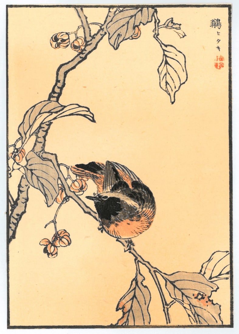 Woodblock Print by Kono Bairei : One Hundred Pictures of Birds: Artist: Kono Bairei. Title: "One Hundred Pictures of Birds" Medium: Woodblock. Size: (8.1/4x6in). Place of Origin: Japan. Circa: Meiji Period, (1868-1912). Format: Vertical. Paper Type: Washi. Publish