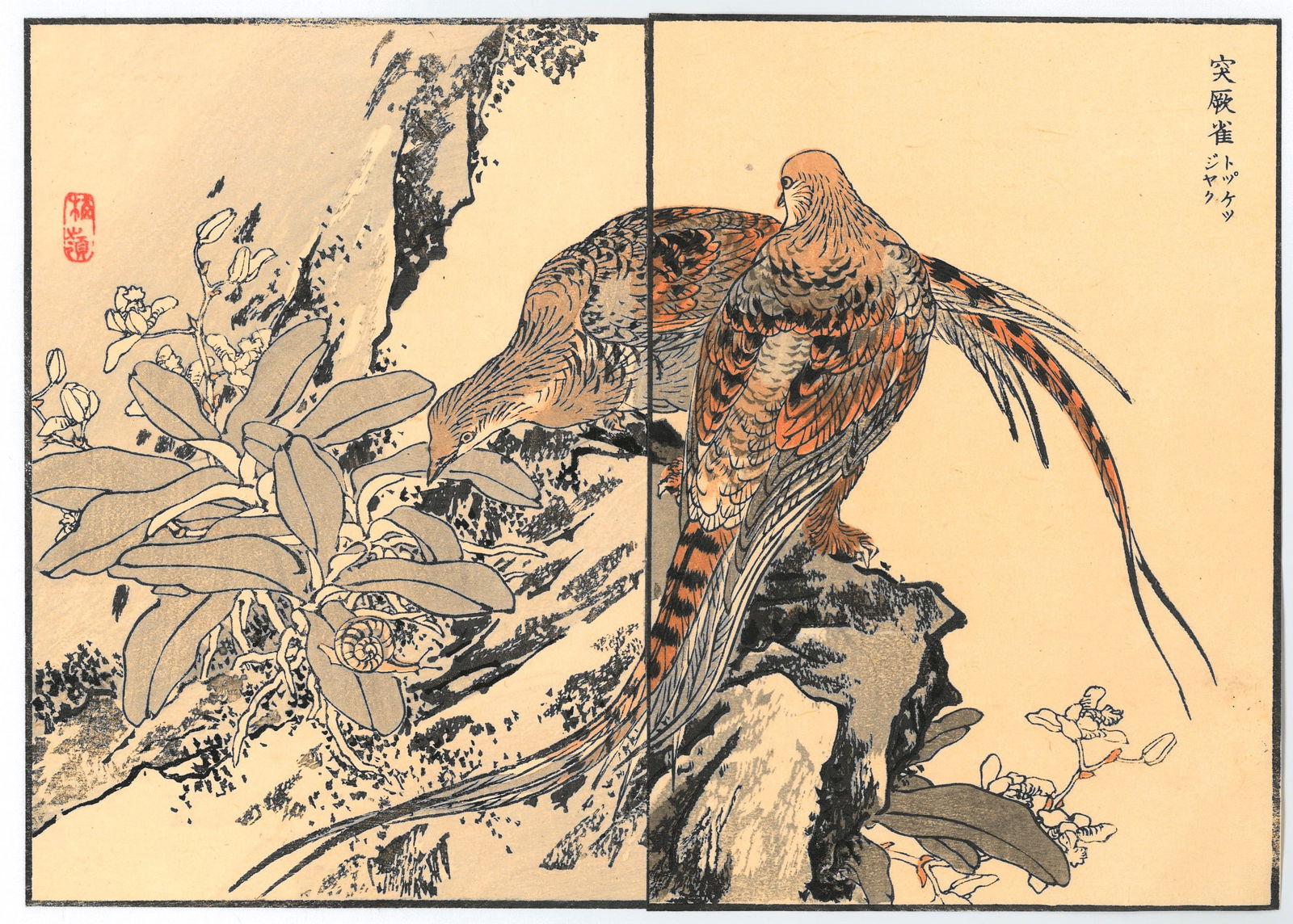 Diptych Woodblock Print by Kono Bairei : One Hundred Pictures of Birds (1 of 2)