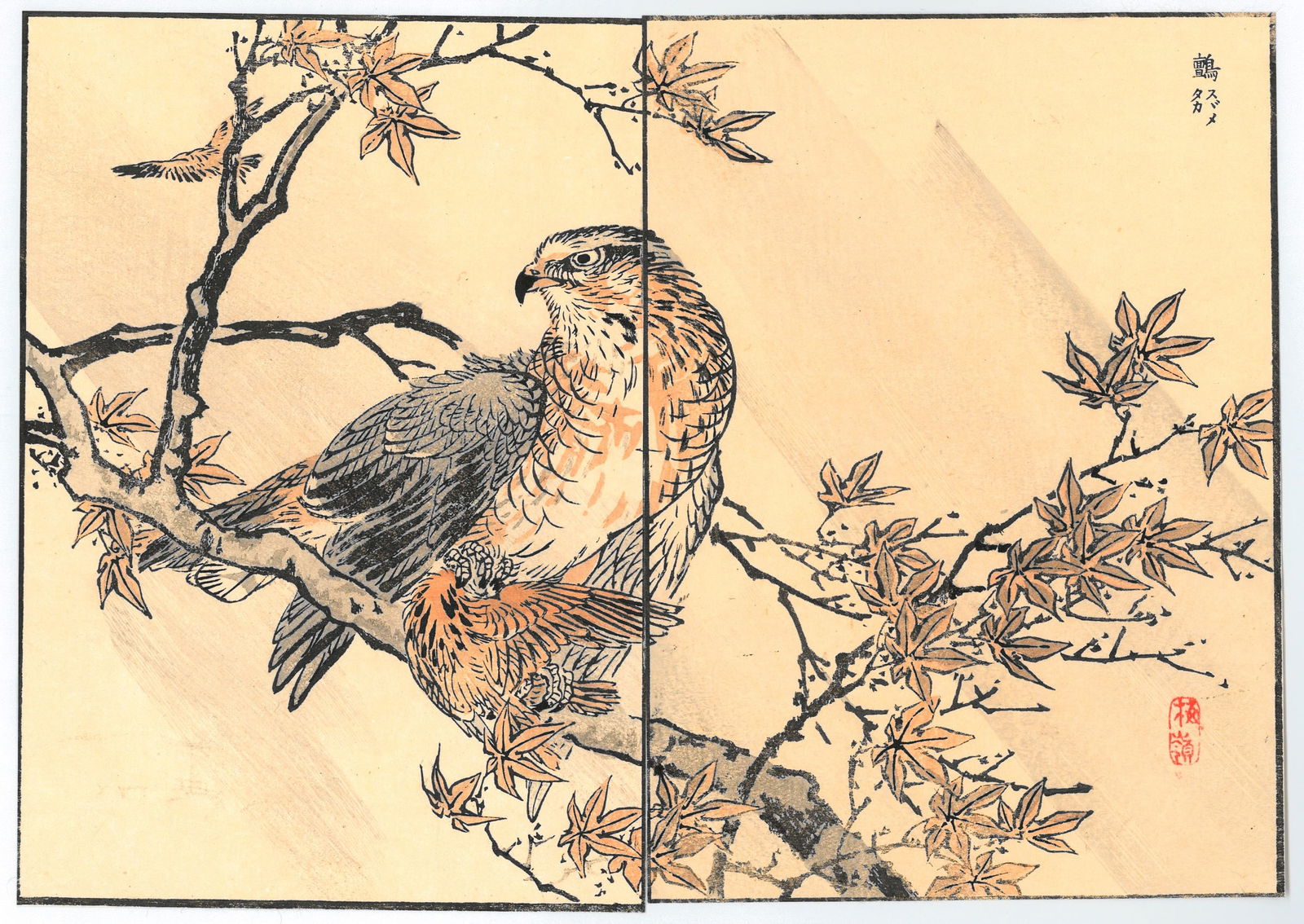 Diptych Woodblock Print by Kono Bairei : One Hundred Pictures of Birds (1 of 2)