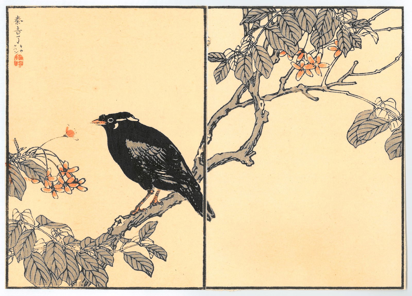 Diptych Woodblock Print by Kono Bairei : One Hundred Pictures of Birds (1 of 2)